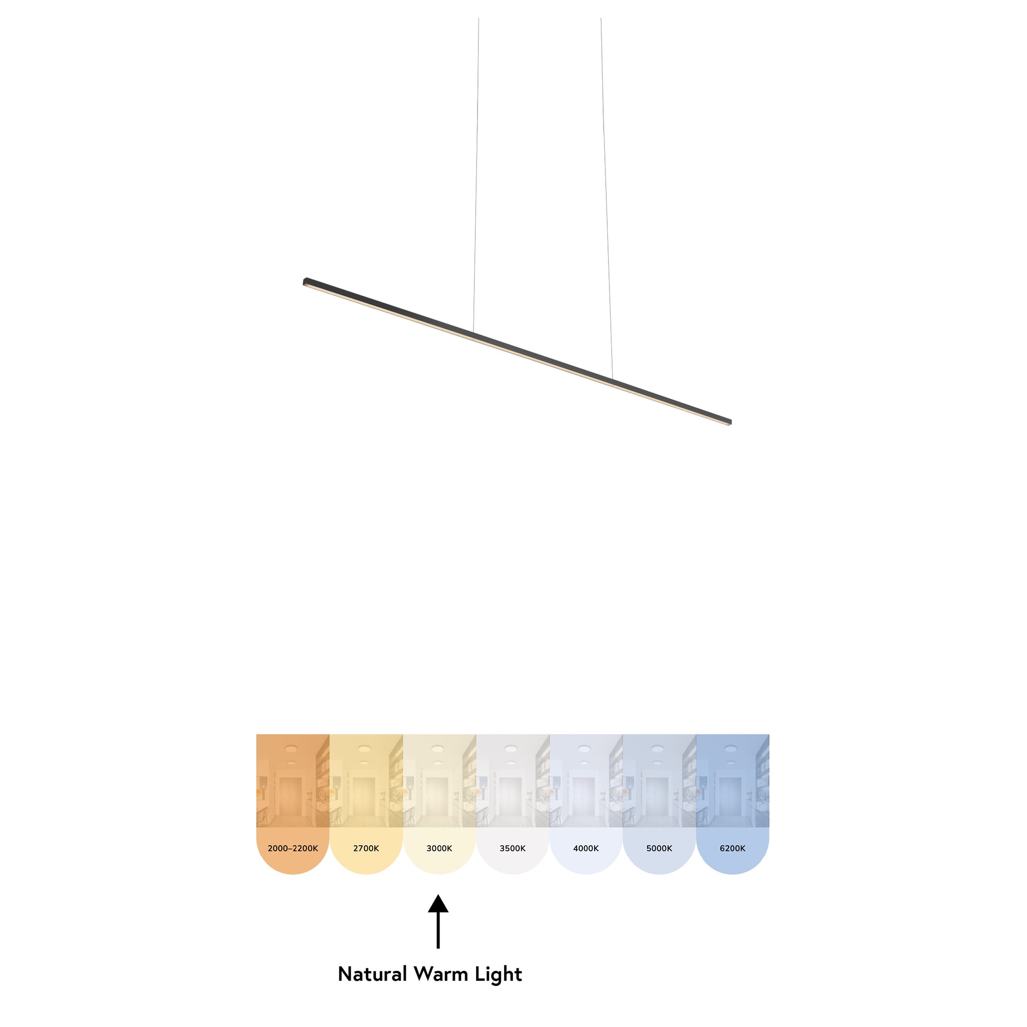Kuzco Lighting LP18248-BK Pendant-Lights - View #6