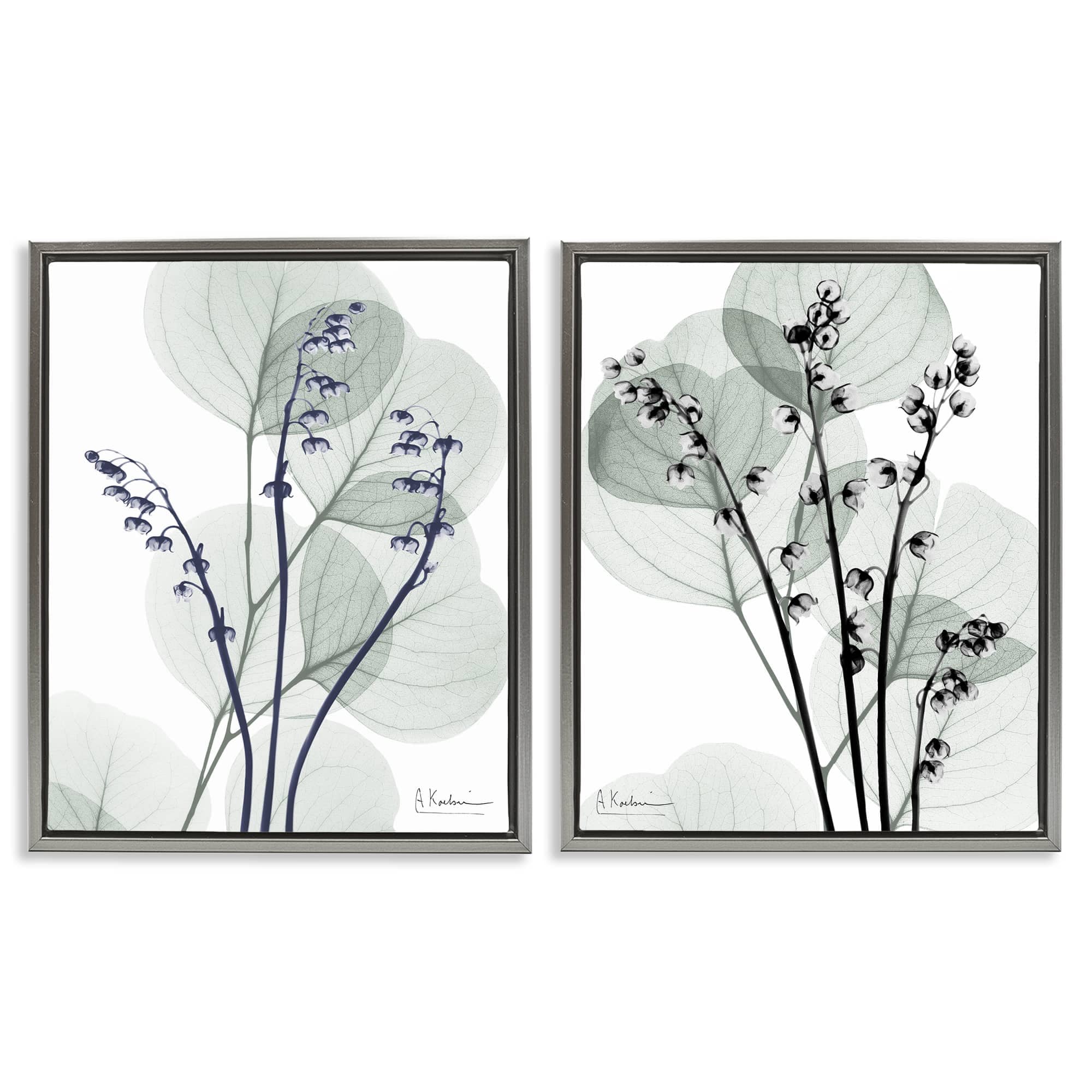 Stupell Industries B2-704-FFL-2PC-24X30 Future Dusk Opaque Herbs 2pc Floating Frame Set Design by Albert Koetsier
