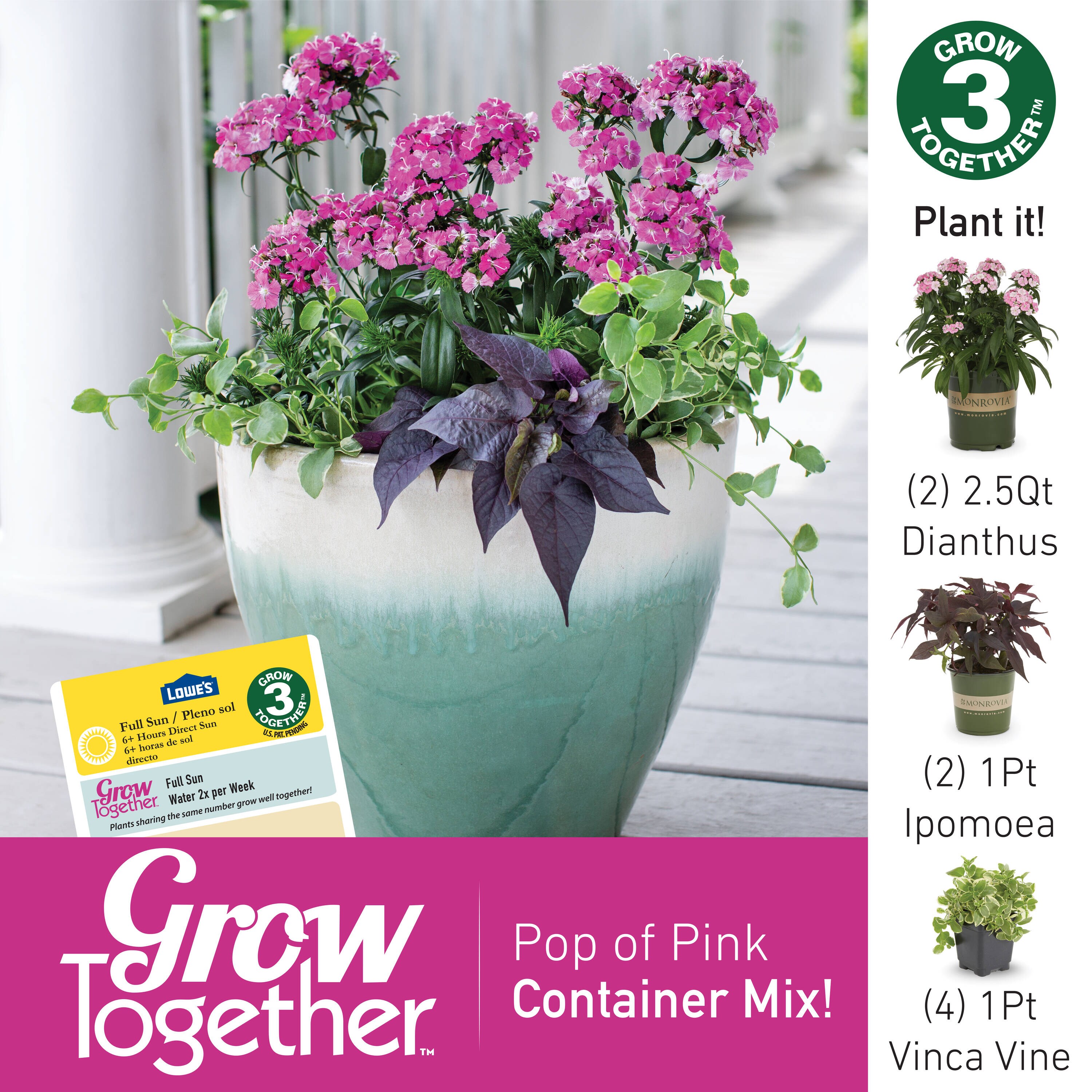 Metrolina Greenhouses 78826 annuals - View #7
