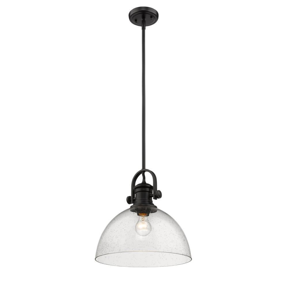 Black Steel and Glass Transitional Indoor/Outdoor Pendant Light
