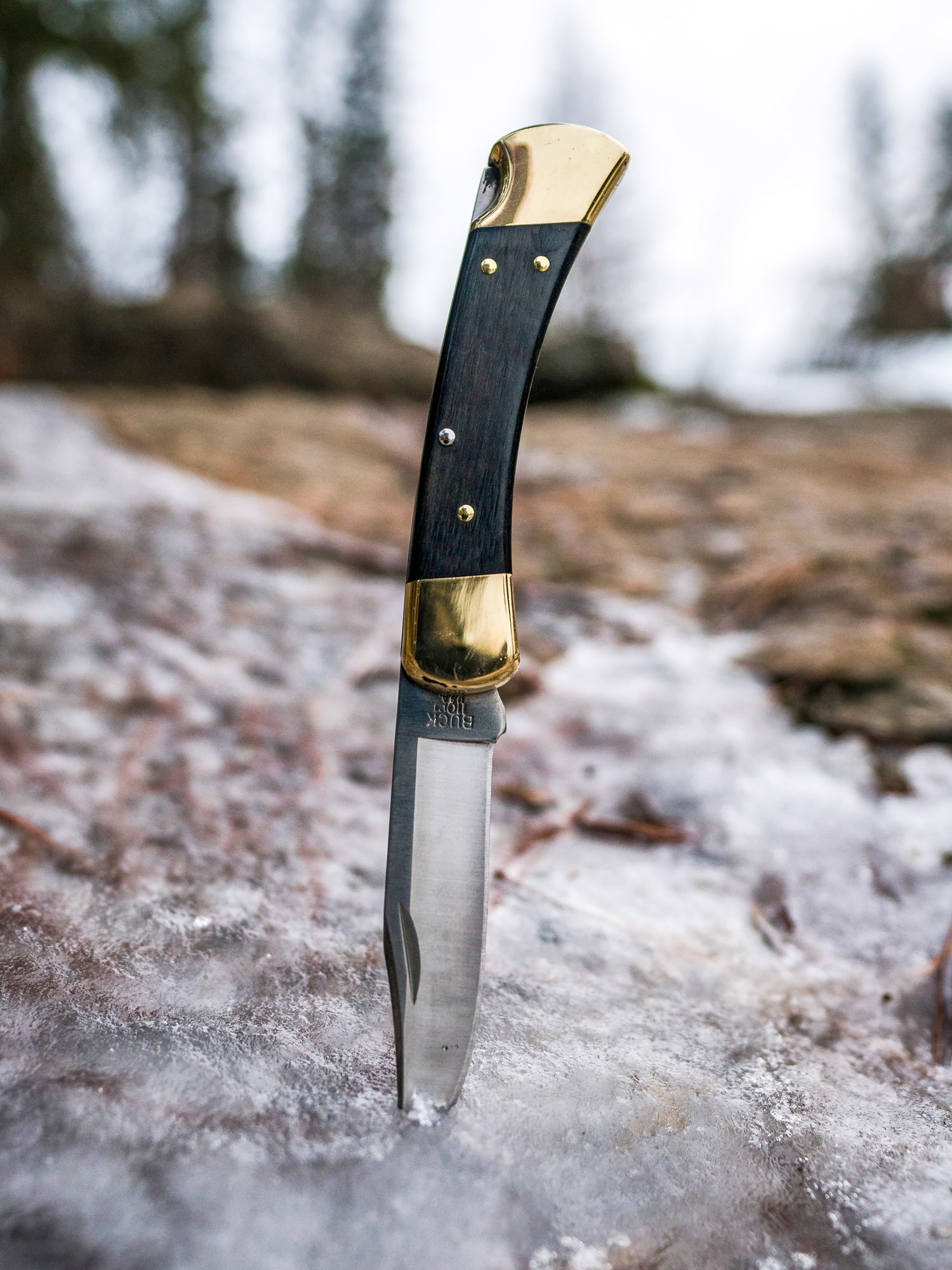 Buck Knives 3.75-in Steel Clip point Pocket Knife in the Pocket Knives  department at