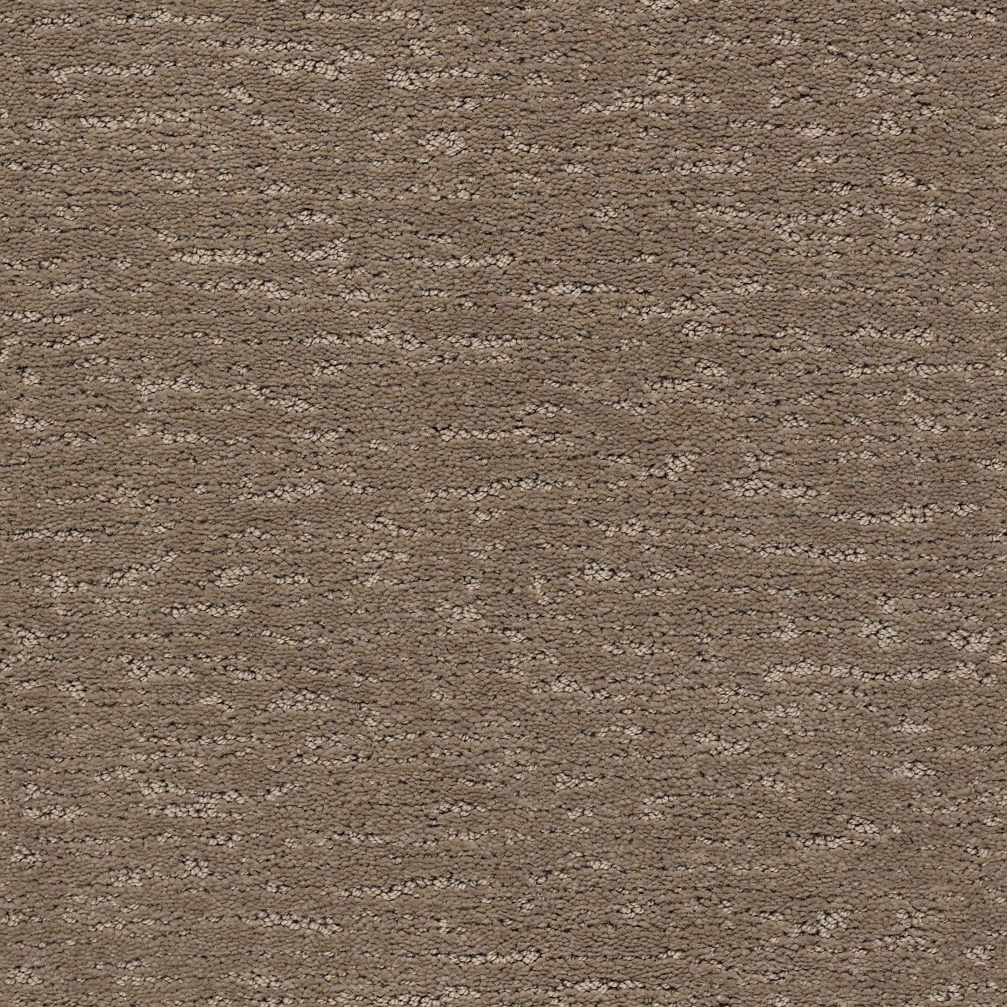 STAINMASTER PetProtect 7L90200515 Always There Rockport Brown 35.1-oz sq yard Nylon Pattern Indoor Carpet