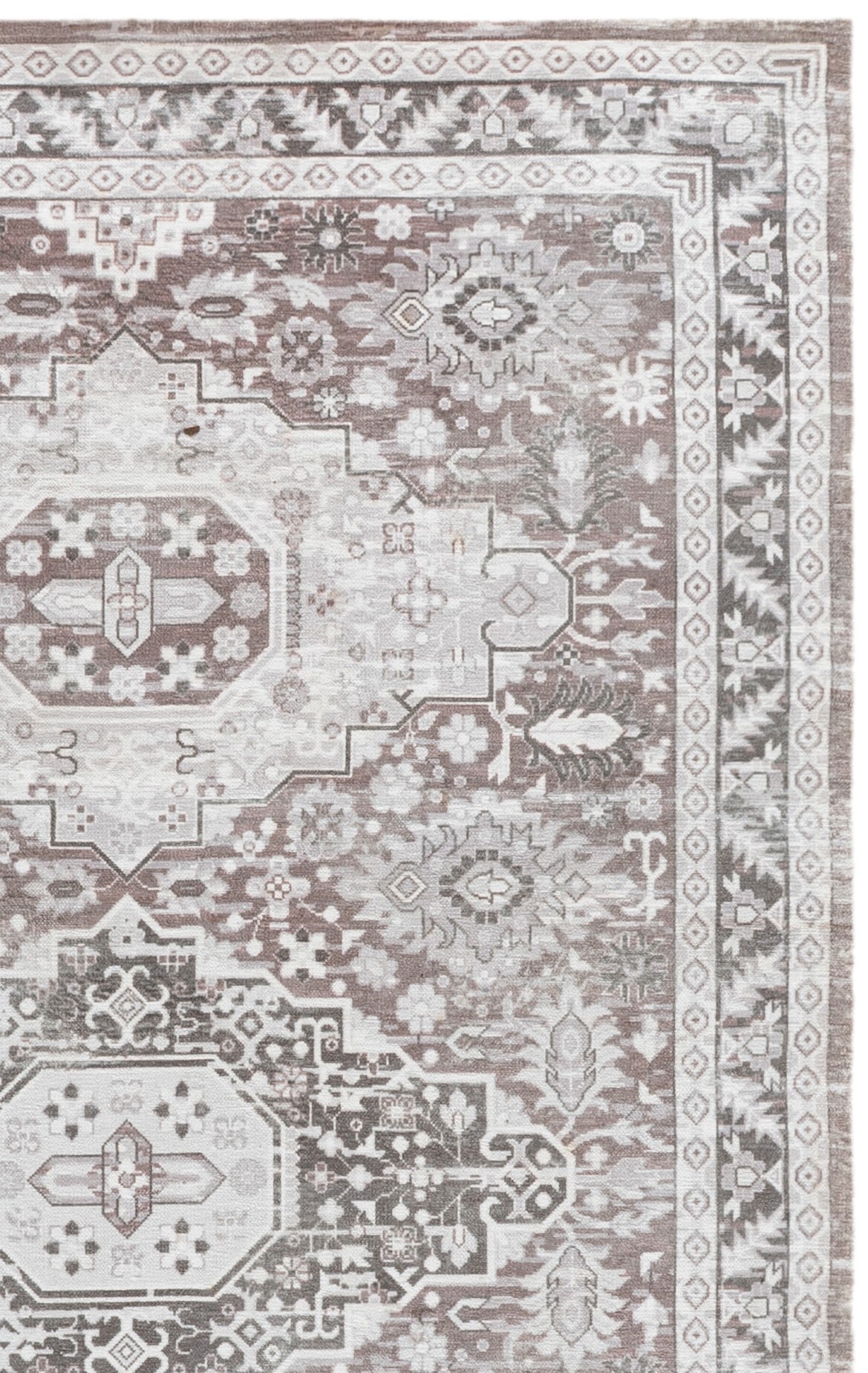 Safavieh CLV151T-5 rugs - View #6