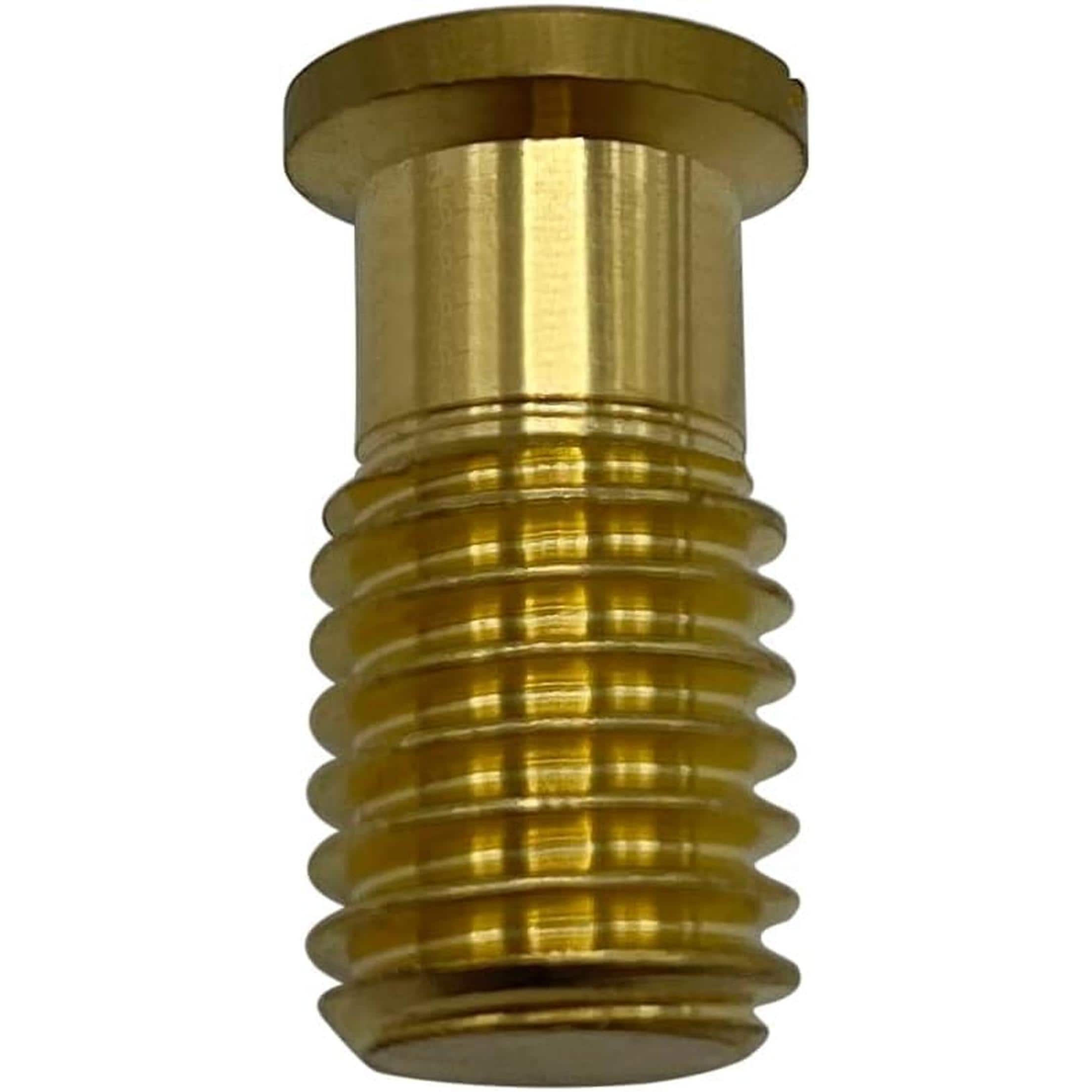 Poolzilla BOLT-1PK 1 PC Pool Safety Cover Threaded Brass Insert Screw Bolt for Anchor