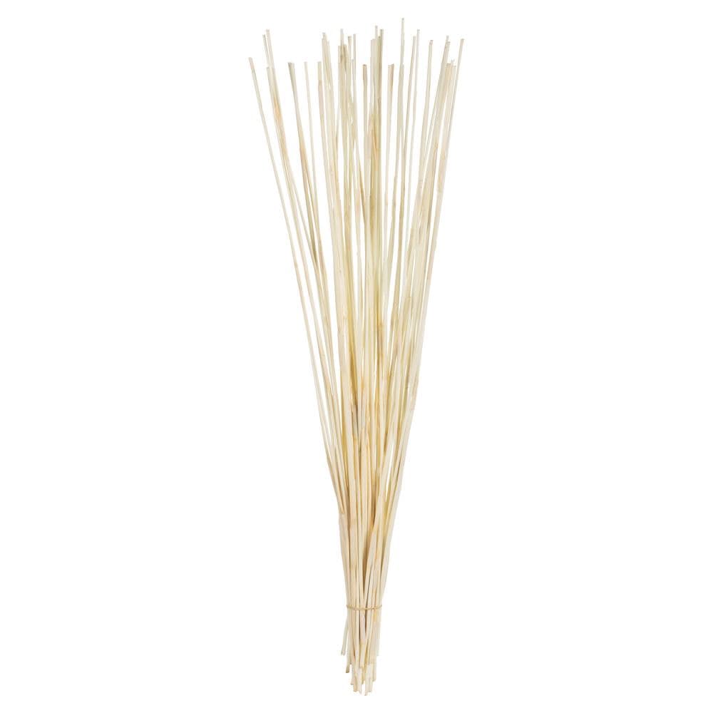 Vickerman H1ELR999 40-in Bleached Indoor Preserved Artificial Plant