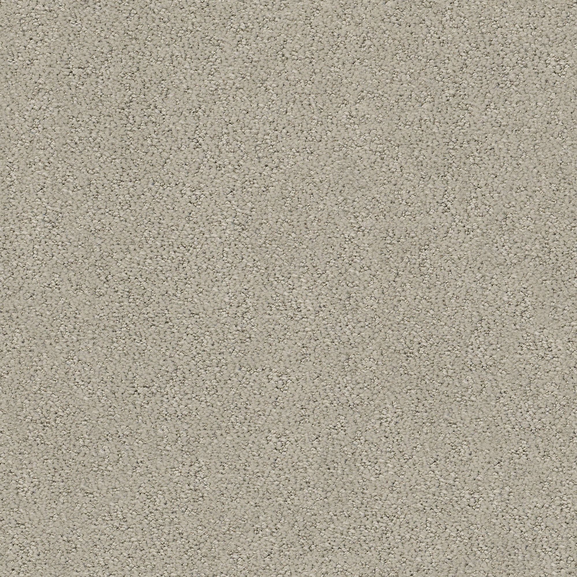 STAINMASTER PetProtect 7L88400106 Happy Tails Natural Stone Brown 29.2-oz sq yard Nylon Pattern Indoor Carpet