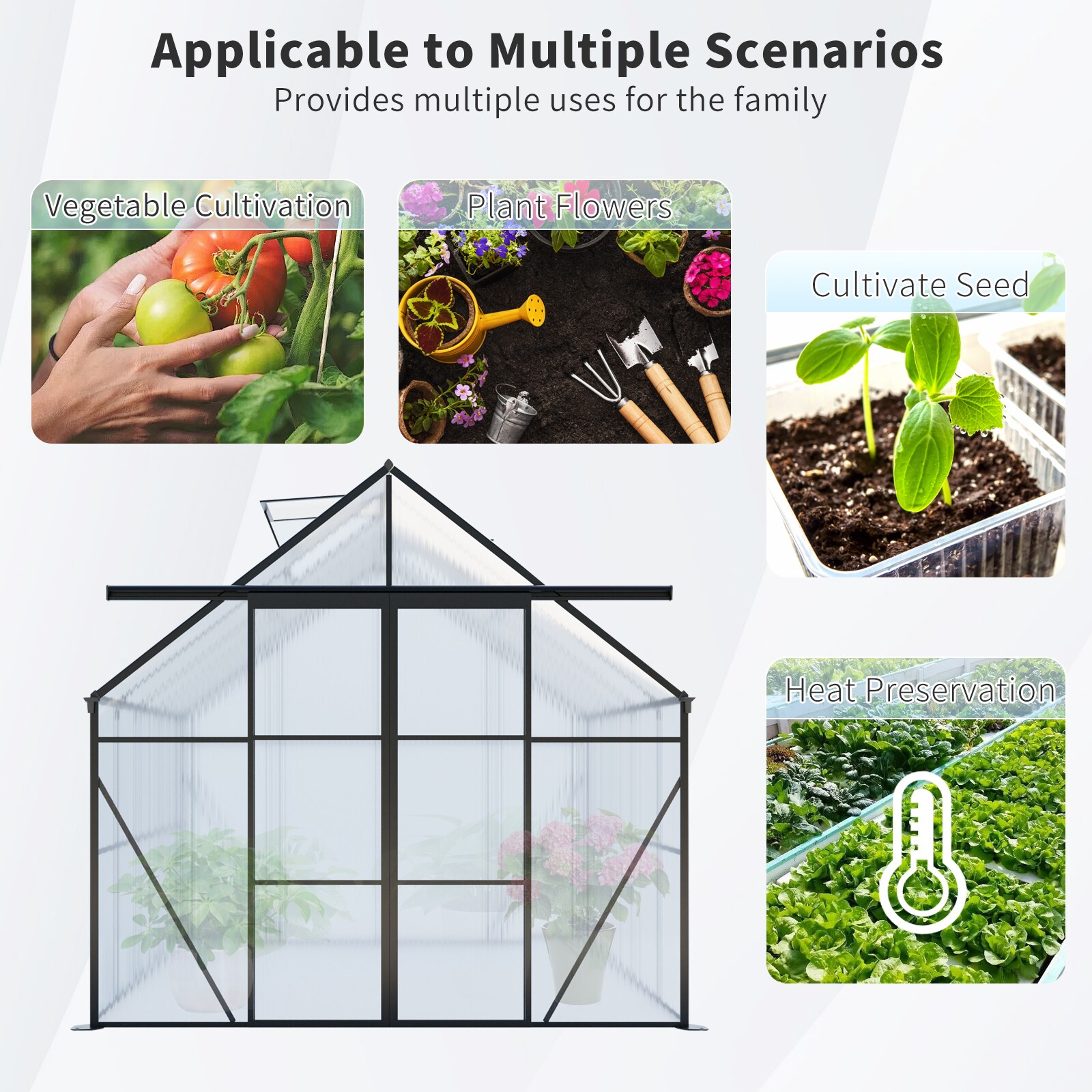 Mondawe MD-TP17-AAB greenhouses - View #4