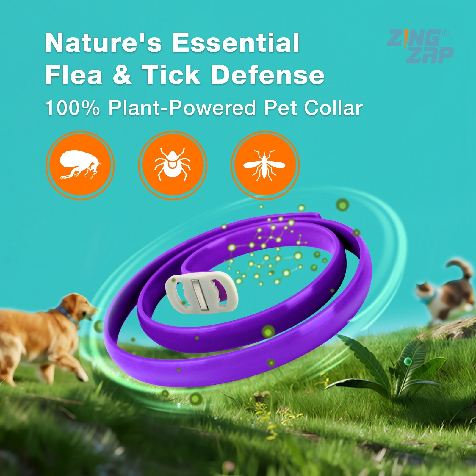 ZingZap ZZFTCLLRPURPLE-ER Insect-Repellent - View #2