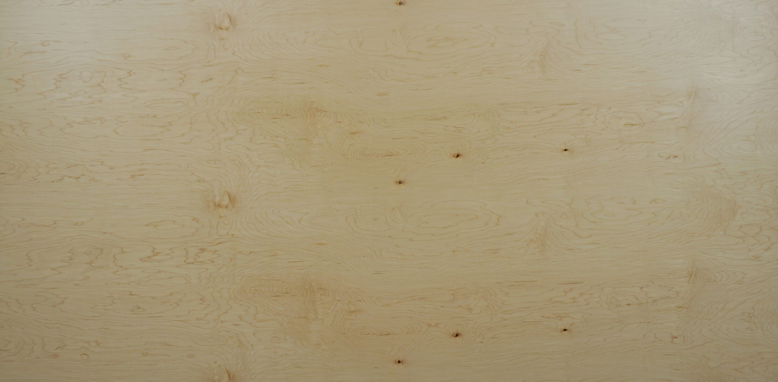  107457 1/2-in x 4-ft x 8-ft Maple Sanded Plywood