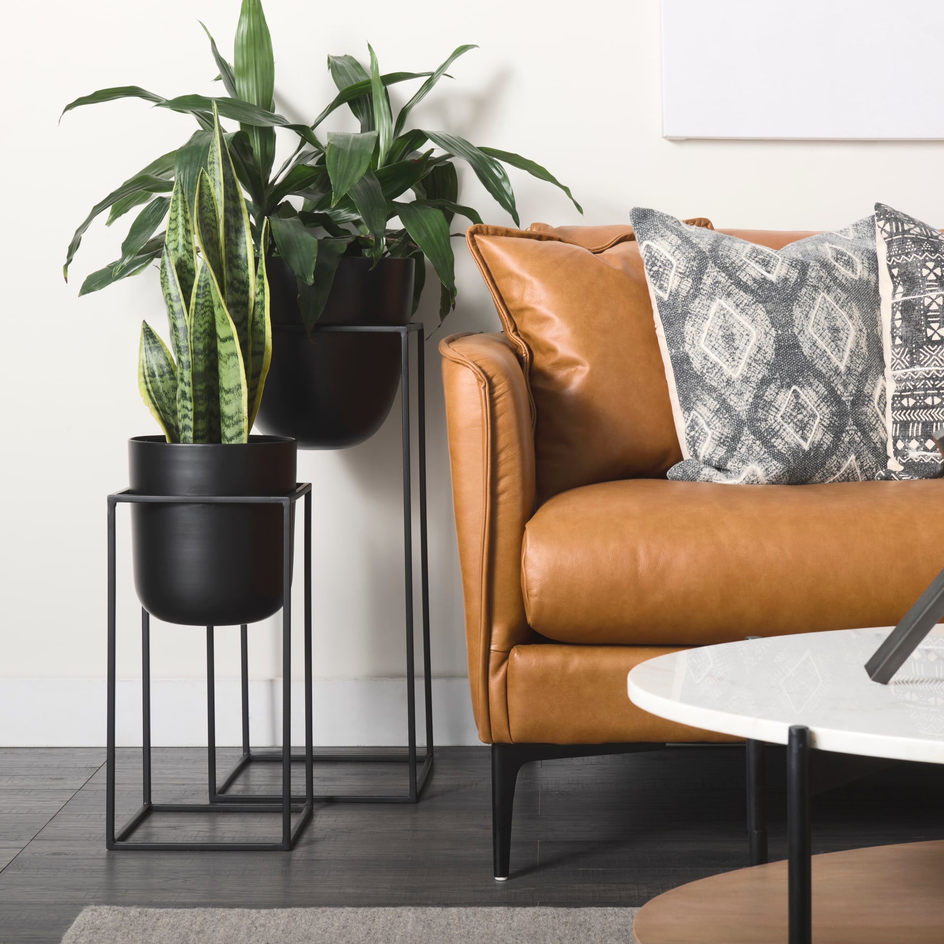 Mercana 68828 Plant-Stand - View #6