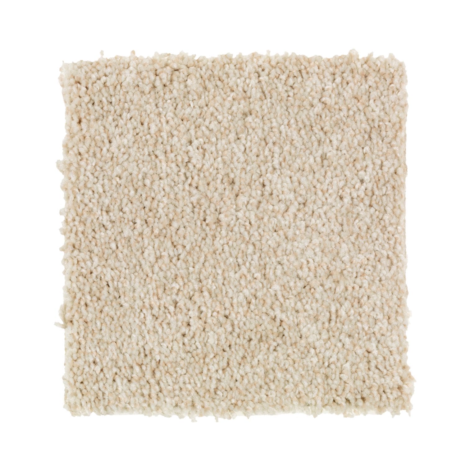 STAINMASTER (Sample) Soft cover Wet Sand Textured Indoor Carpet in the ...