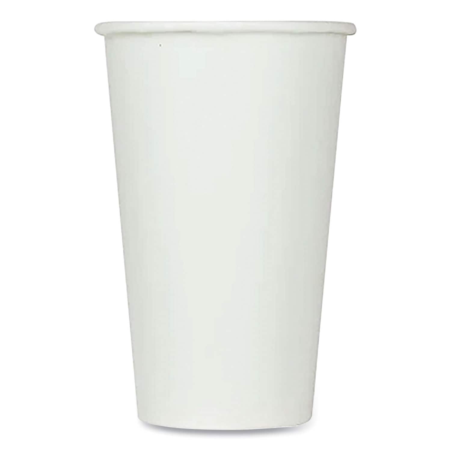 Karat Double Poly Paper Cold Cups 16 oz White 1000/Carton #C-KCP16W