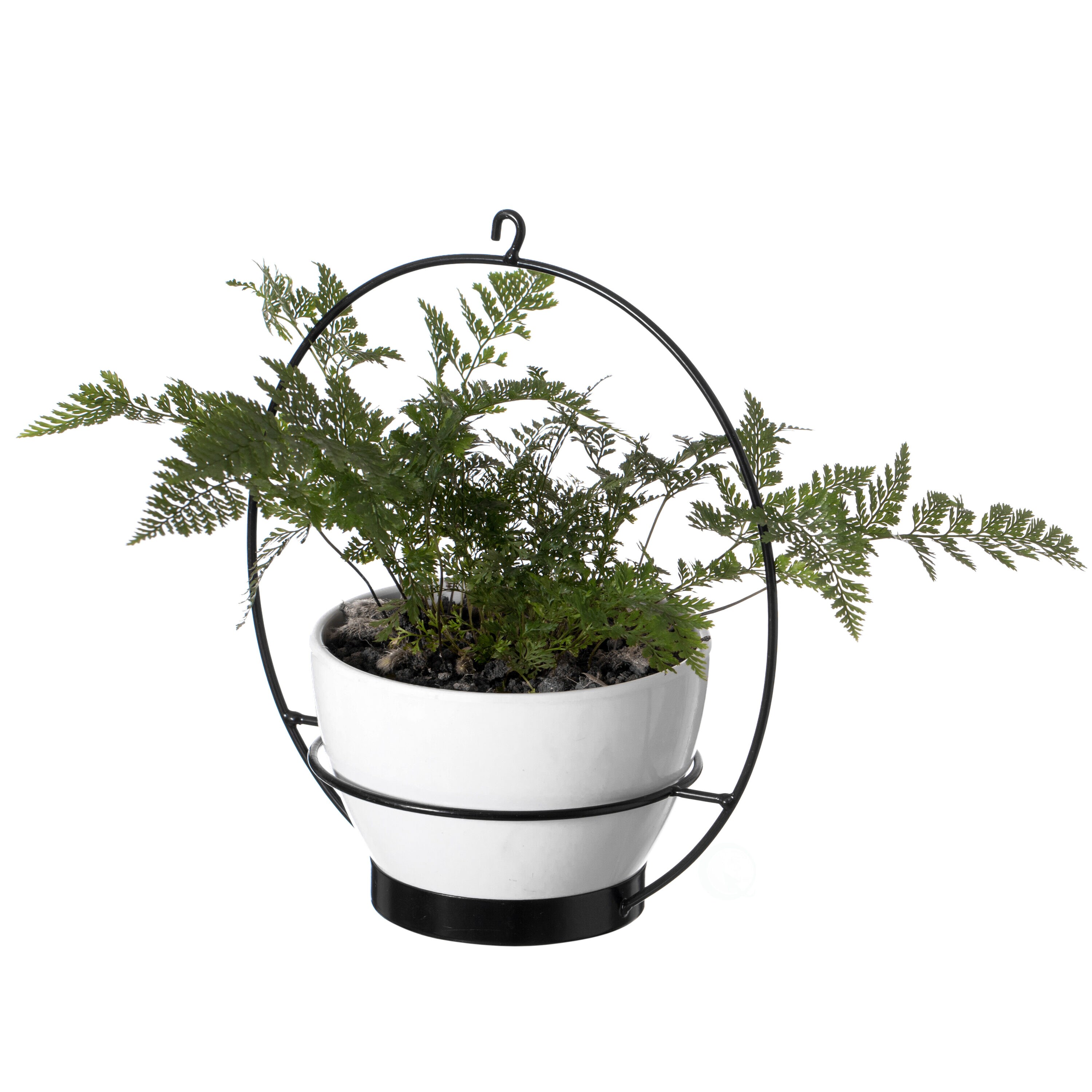 Gardenised QI004532 Planter-Window-Box - View #5