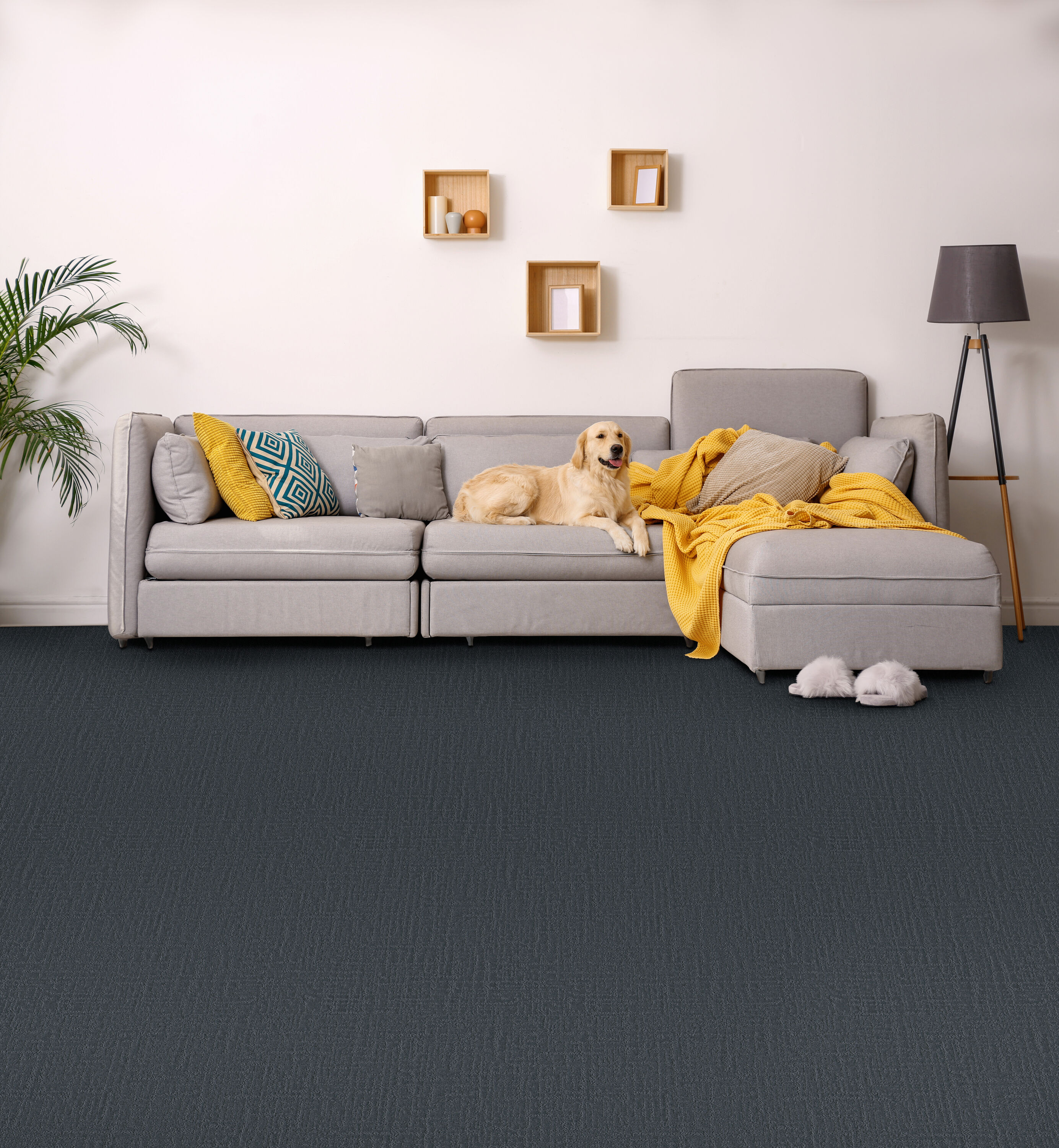 STAINMASTER PetProtect 7L852 - 450 - SAMP Carpet-Samples - View #5