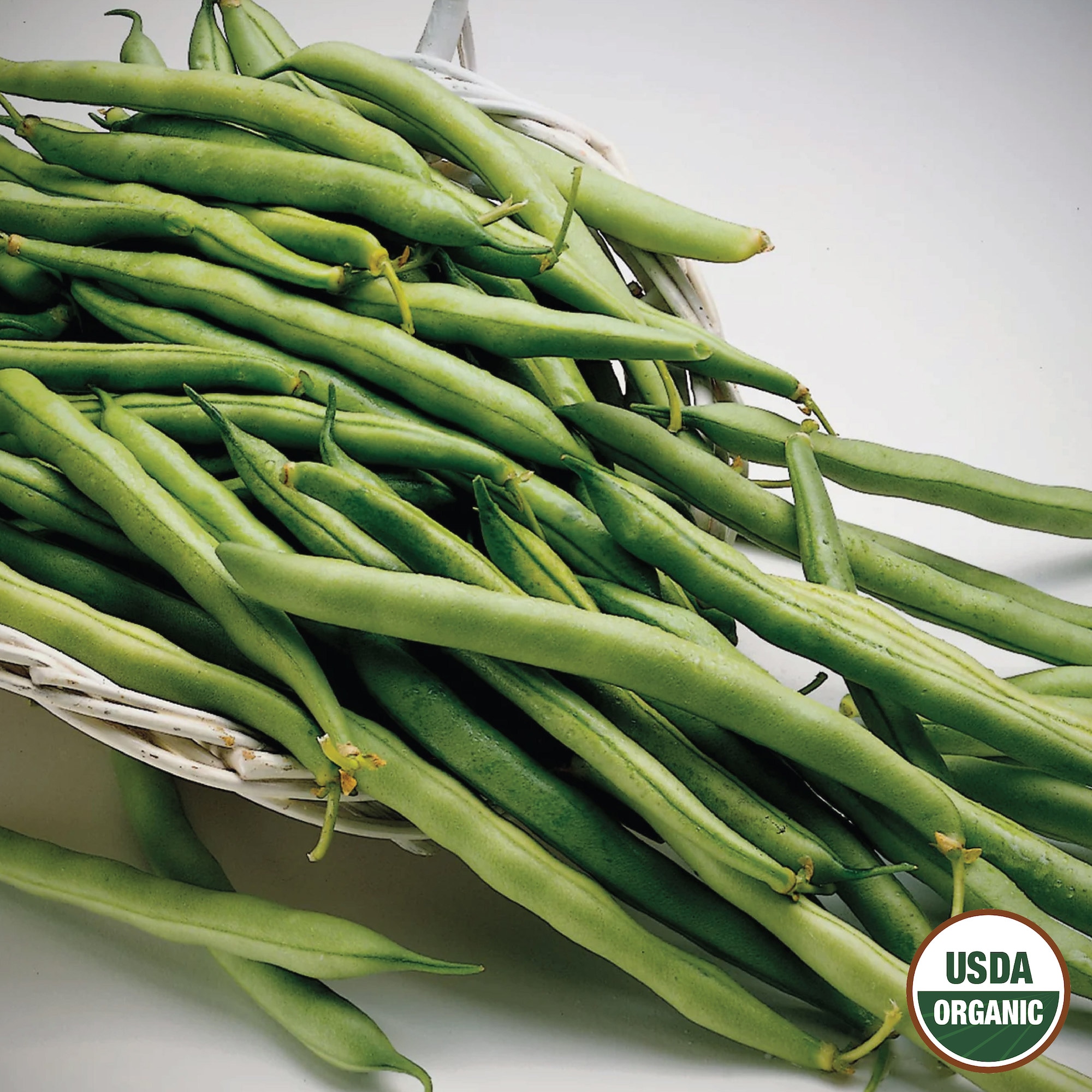 Ferry-Morse LC25.0789 Vegetable-Herb-Seeds - View #3