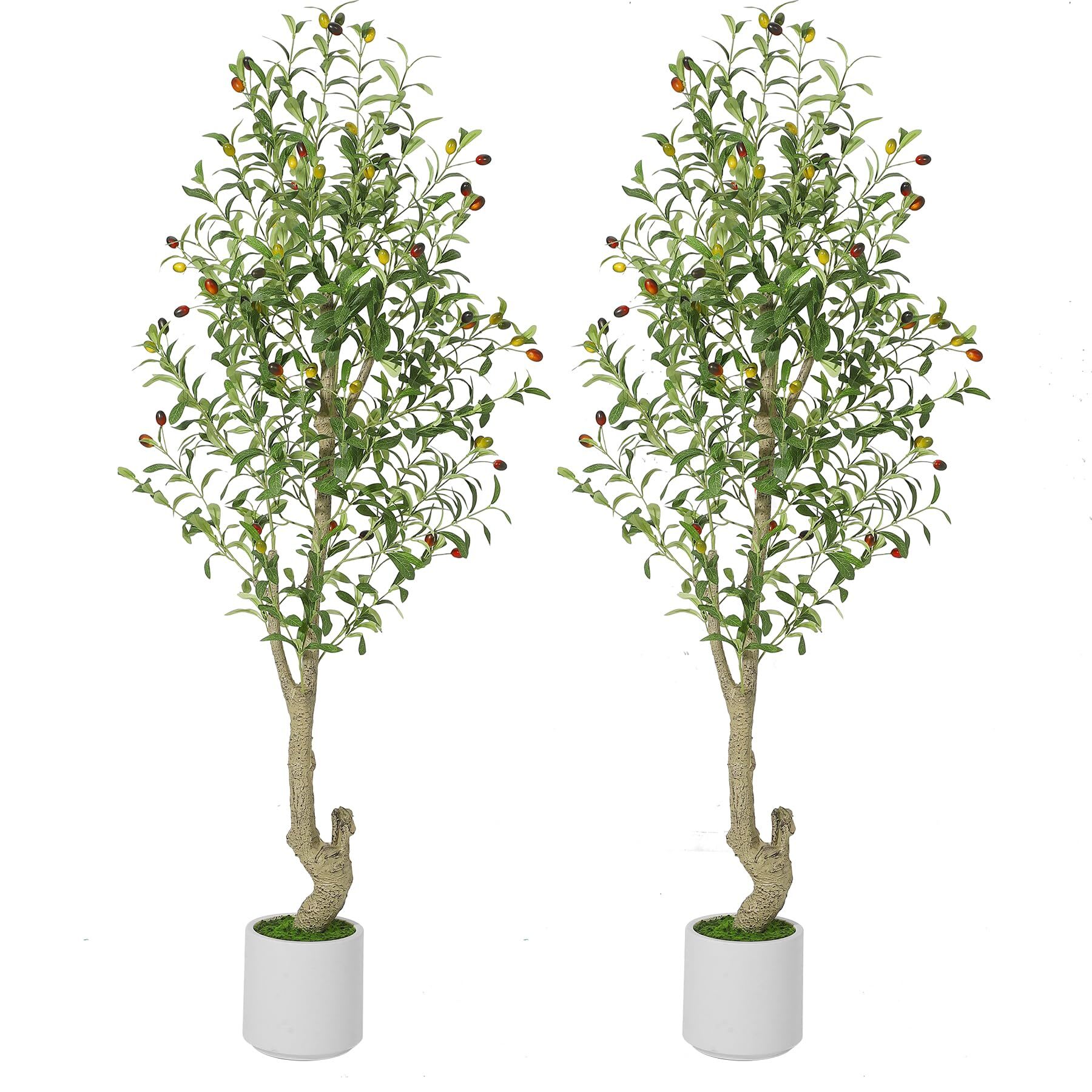 WhizMax IWAN-PHO-34LWQVWH 5ft (60in) Tall Faux Olive Tree with White Planter and Green Moss 2 Pack