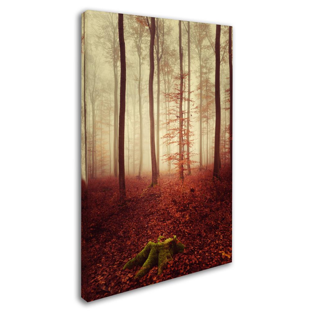 Trademark Fine Art PSL0436-C1624GG Wall-Art - View #2