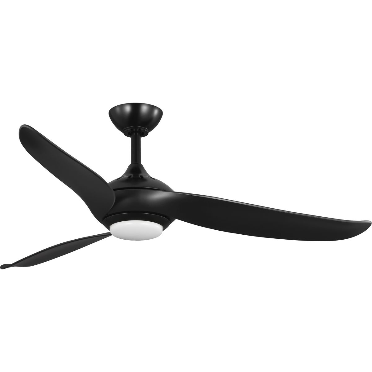 Progress Lighting P250105-31M-30 Ceiling-Fans - View #5