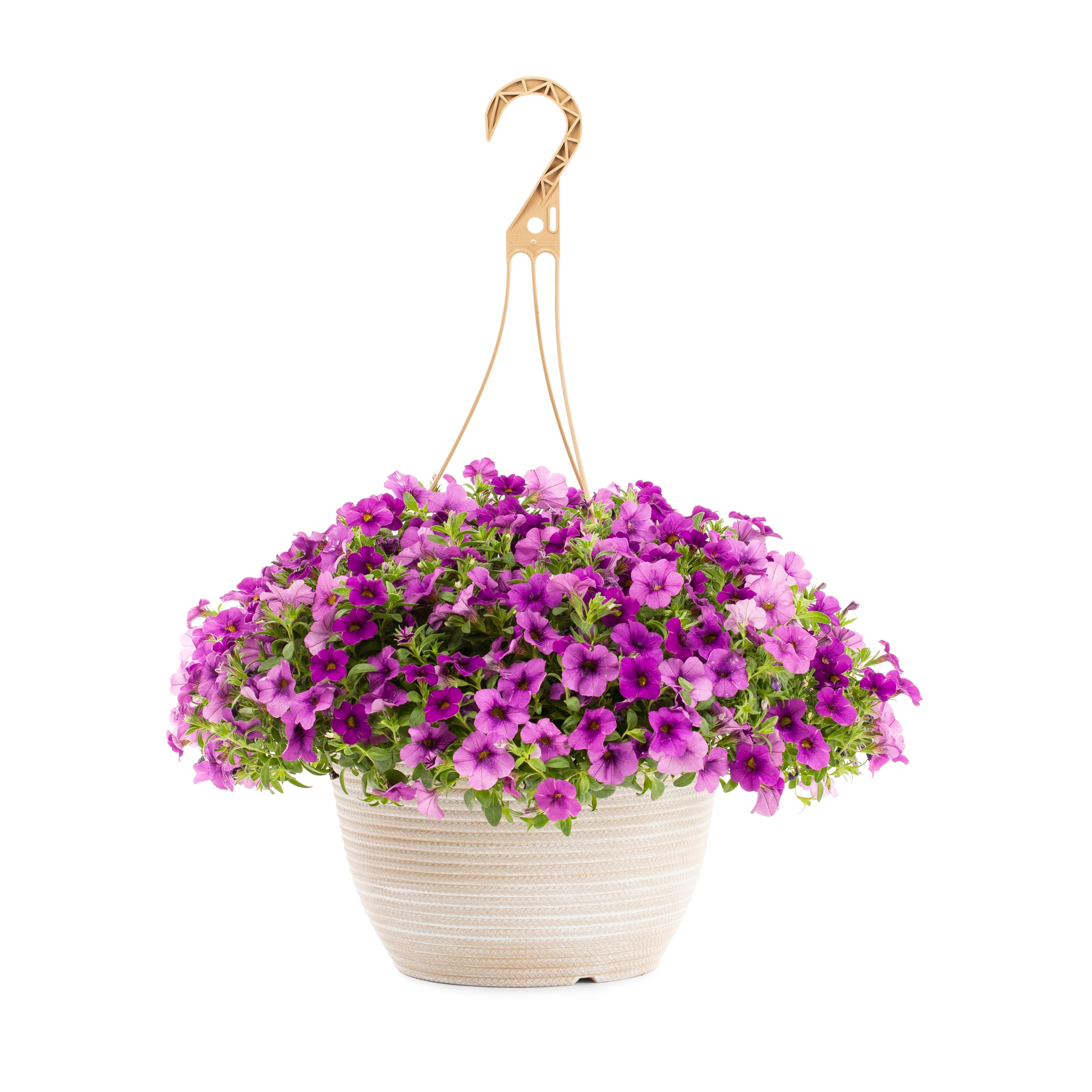 Lowe's Multicolor Calibrachoa in 2-Gallon Hanging Basket in the Annuals ...