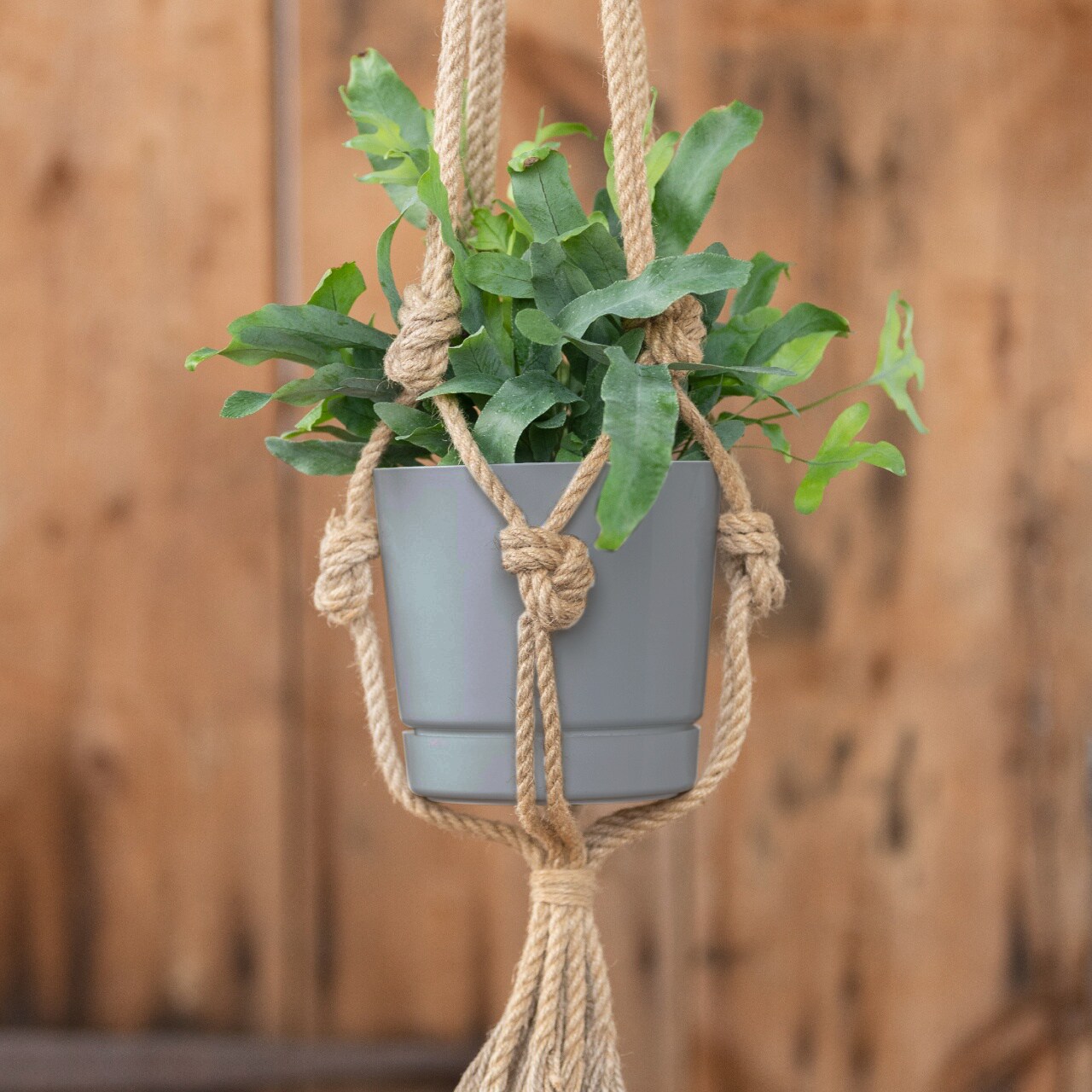 Root & Vessel 10100.01 Planter-Window-Box - View #5