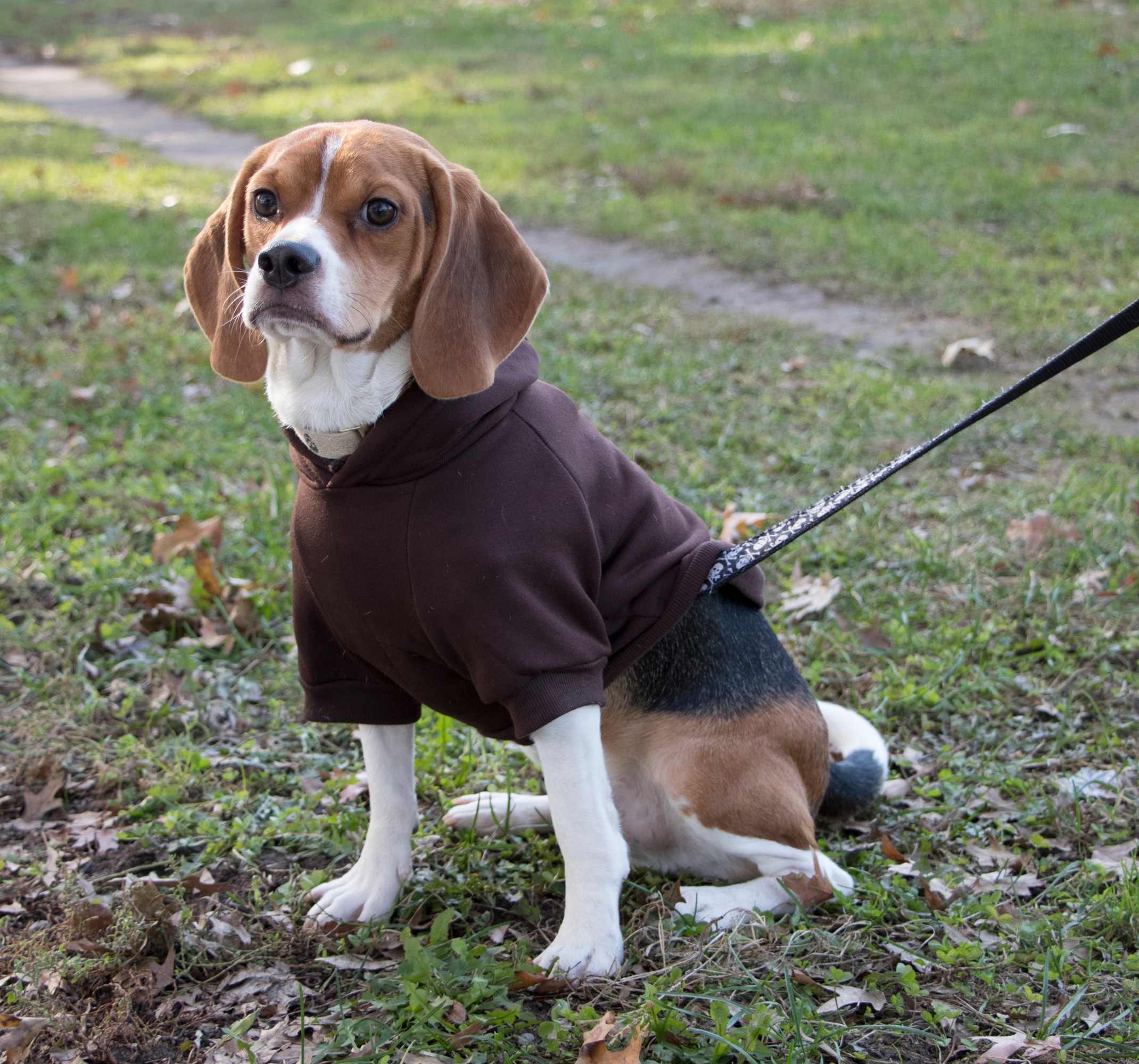 Pet Life HD1BRLG Dog-Apparel - View #5