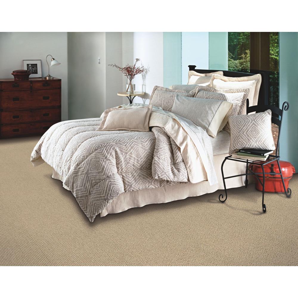 STAINMASTER LW182-L005-0808 Carpet-Samples - View #2