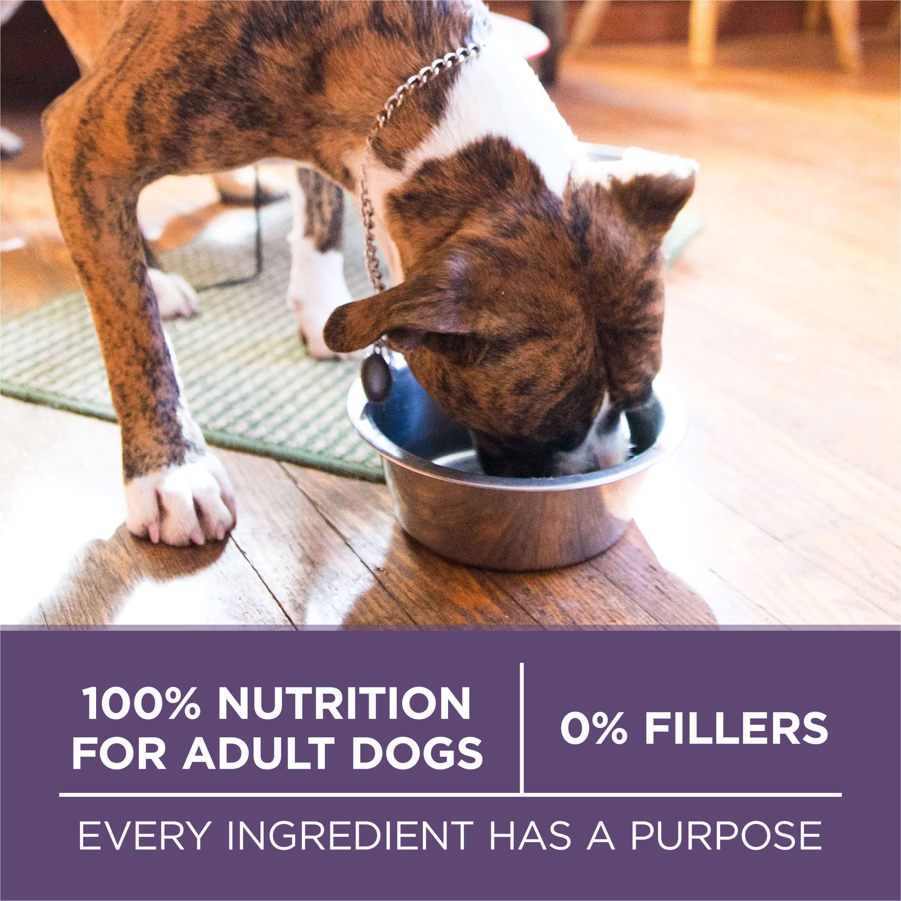 Nestle Purina 001780014932 Wet-Dog-Food - View #7