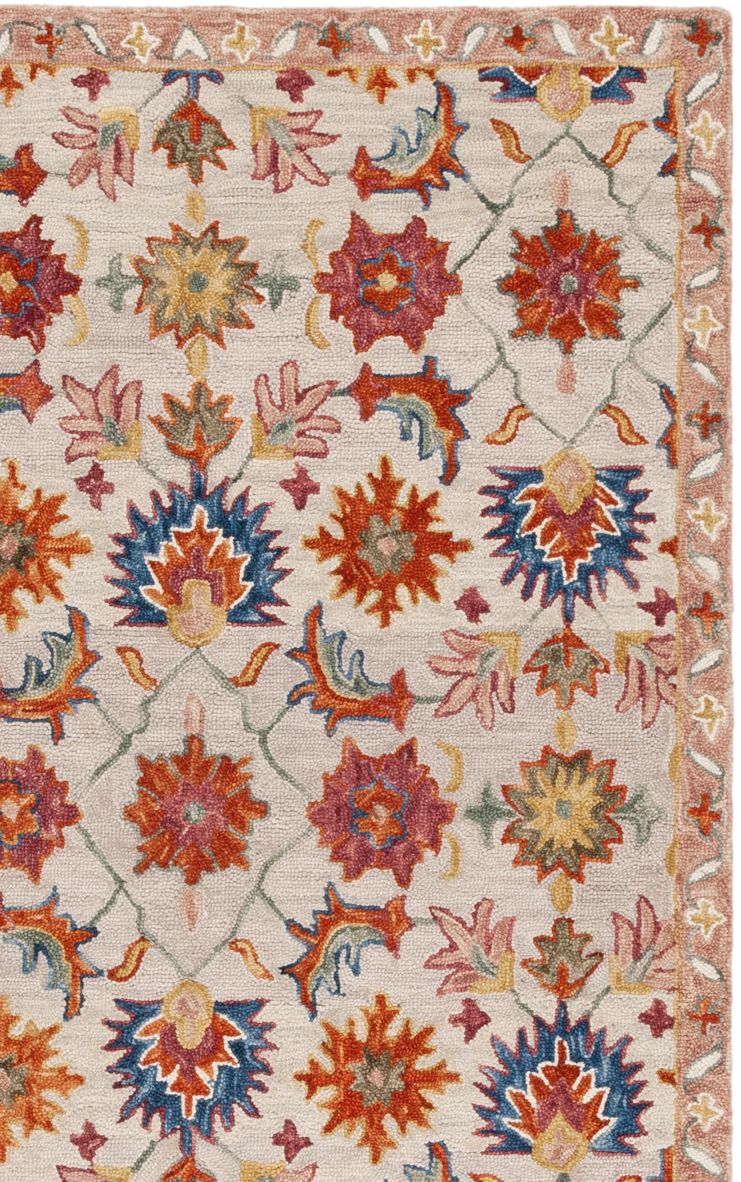 Safavieh APN103P-6 rugs - View #5