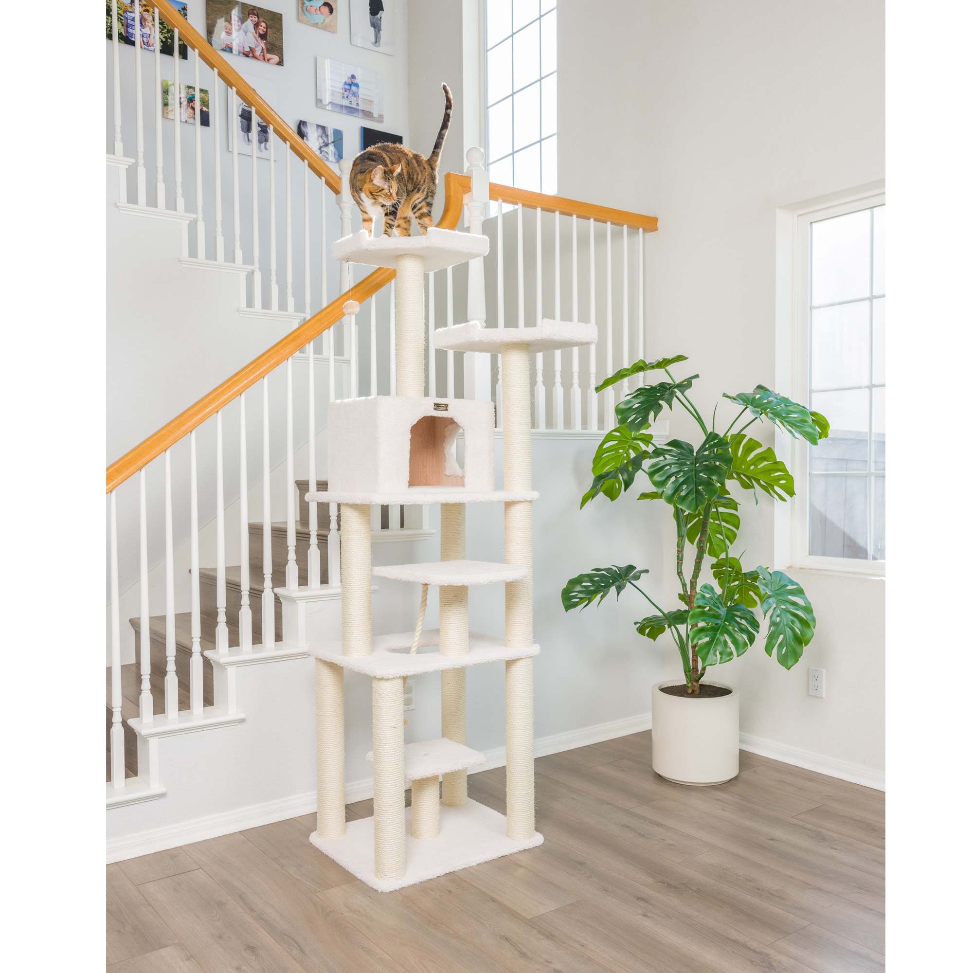 Armarkat B7801 Cat-Trees - View #8
