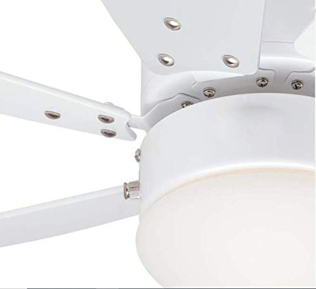 Ciata 30-in White Indoor Ceiling Fan with Light (6-Blade) in the 