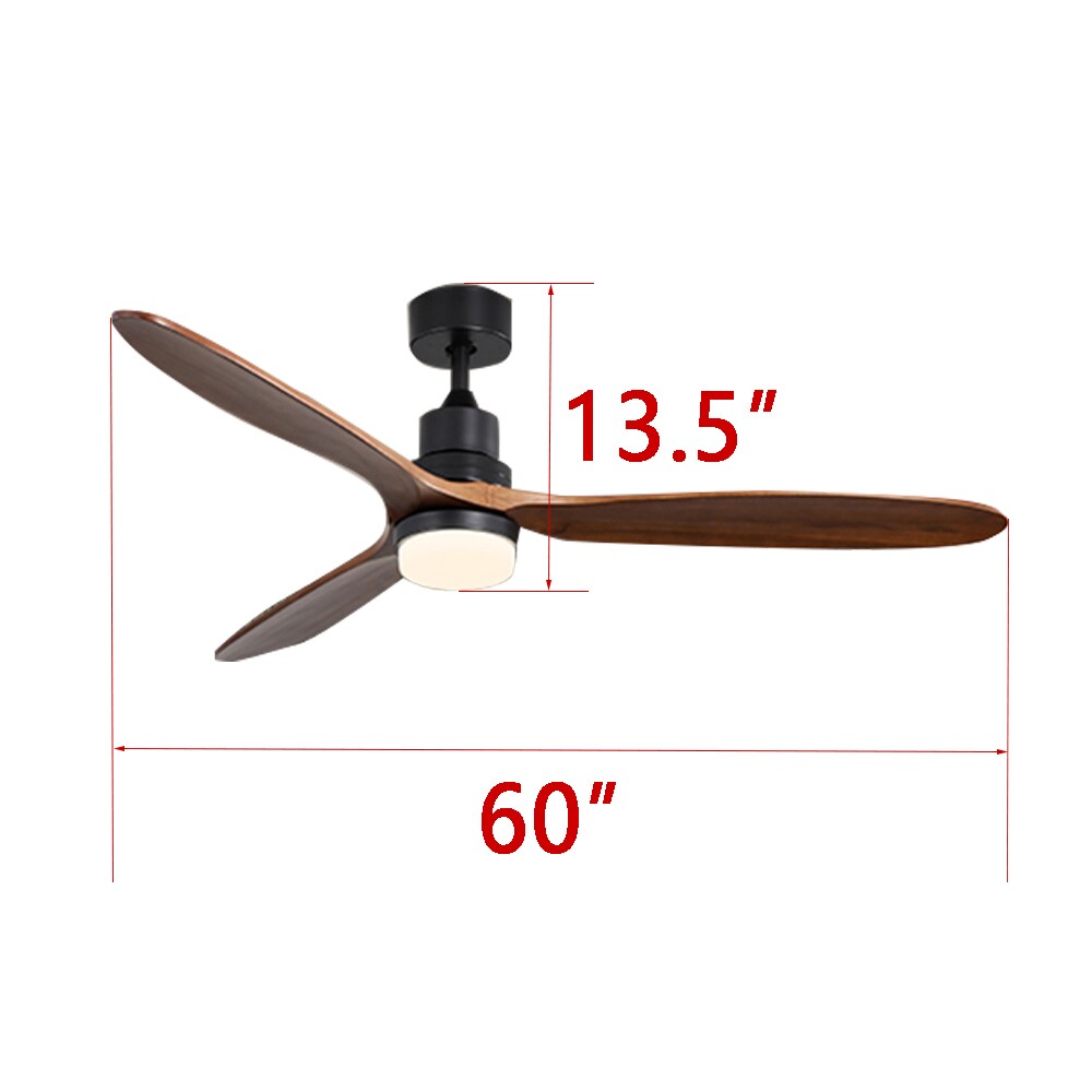 Sunrinx CF-1-DS Ceiling-Fans - View #3
