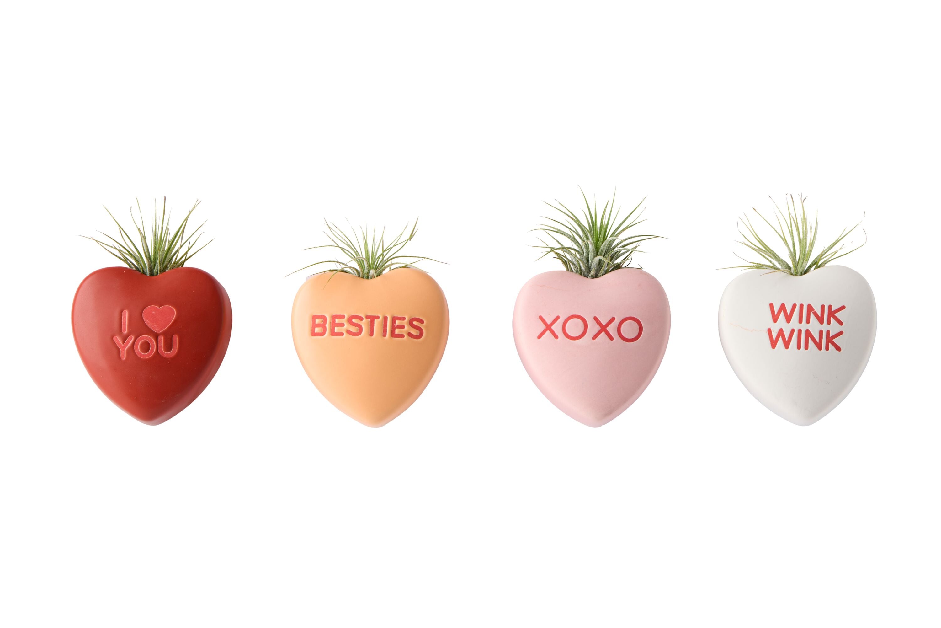 LiveTrends Sweet Hearts - Air Plant House plant in 4 -Pack Figurine 4 -Pack