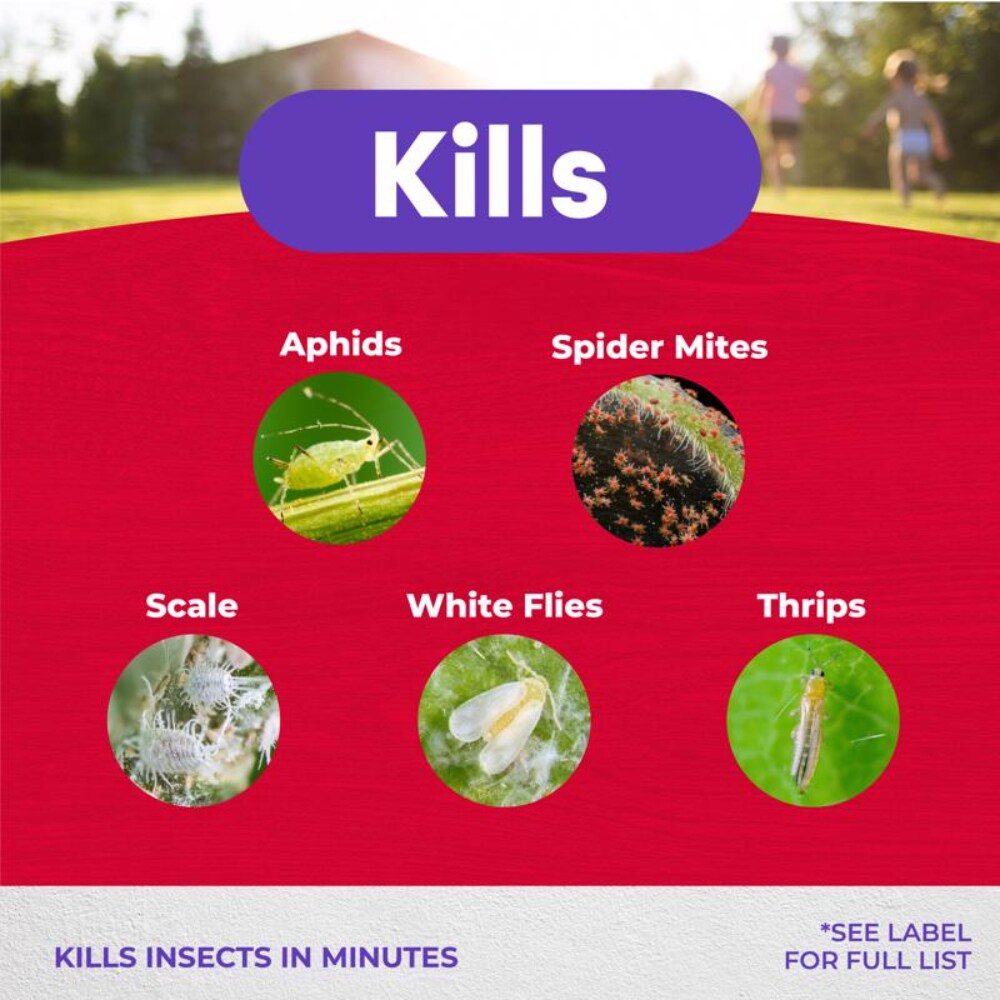 Bonide EJD7236813 Insect-Repellent - View #4