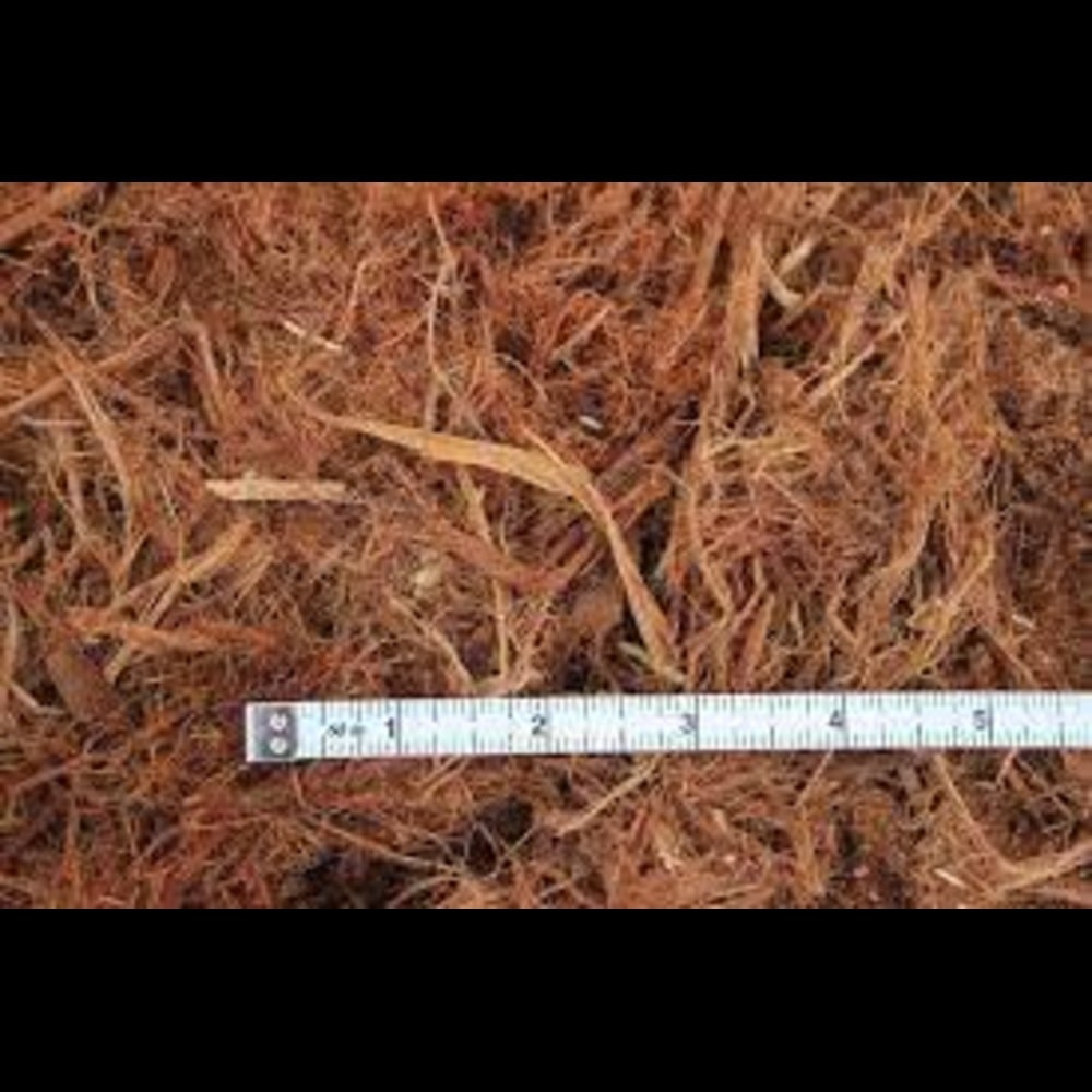 Beautiful Backyard Landscape with Gorilla Hair Mulch