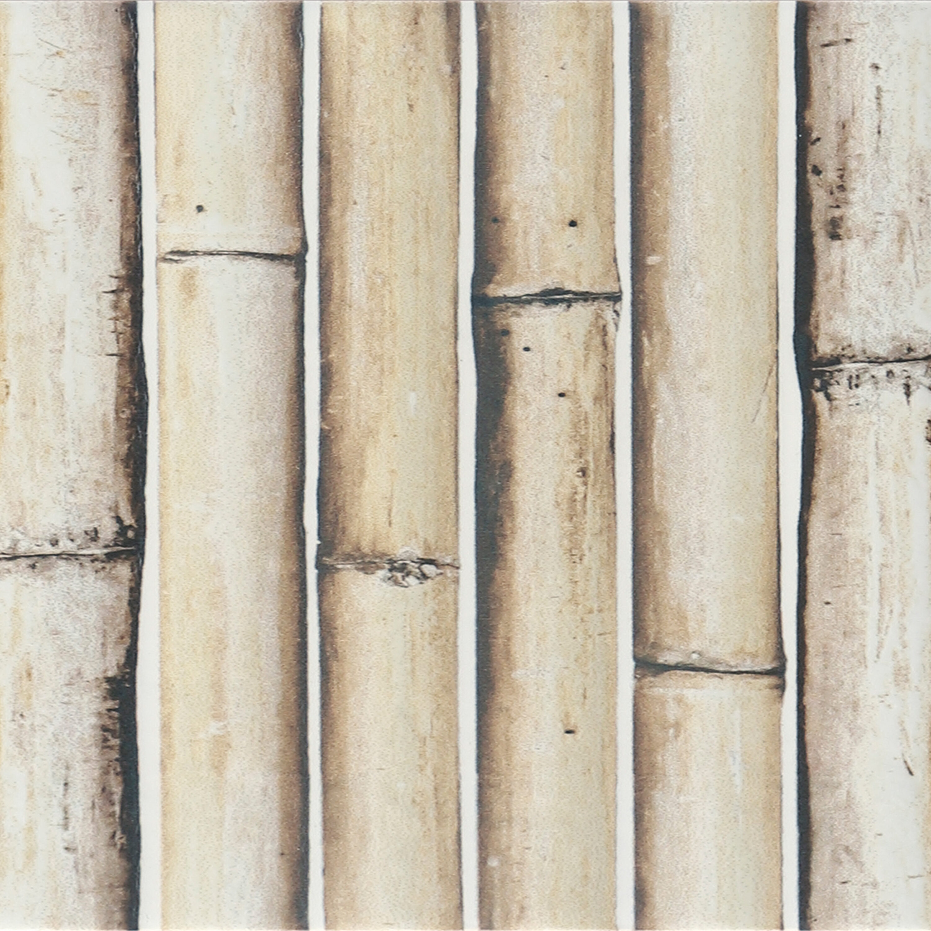 Affinity Tile WMZ6BHSWT Ceramic-Tile - View #3
