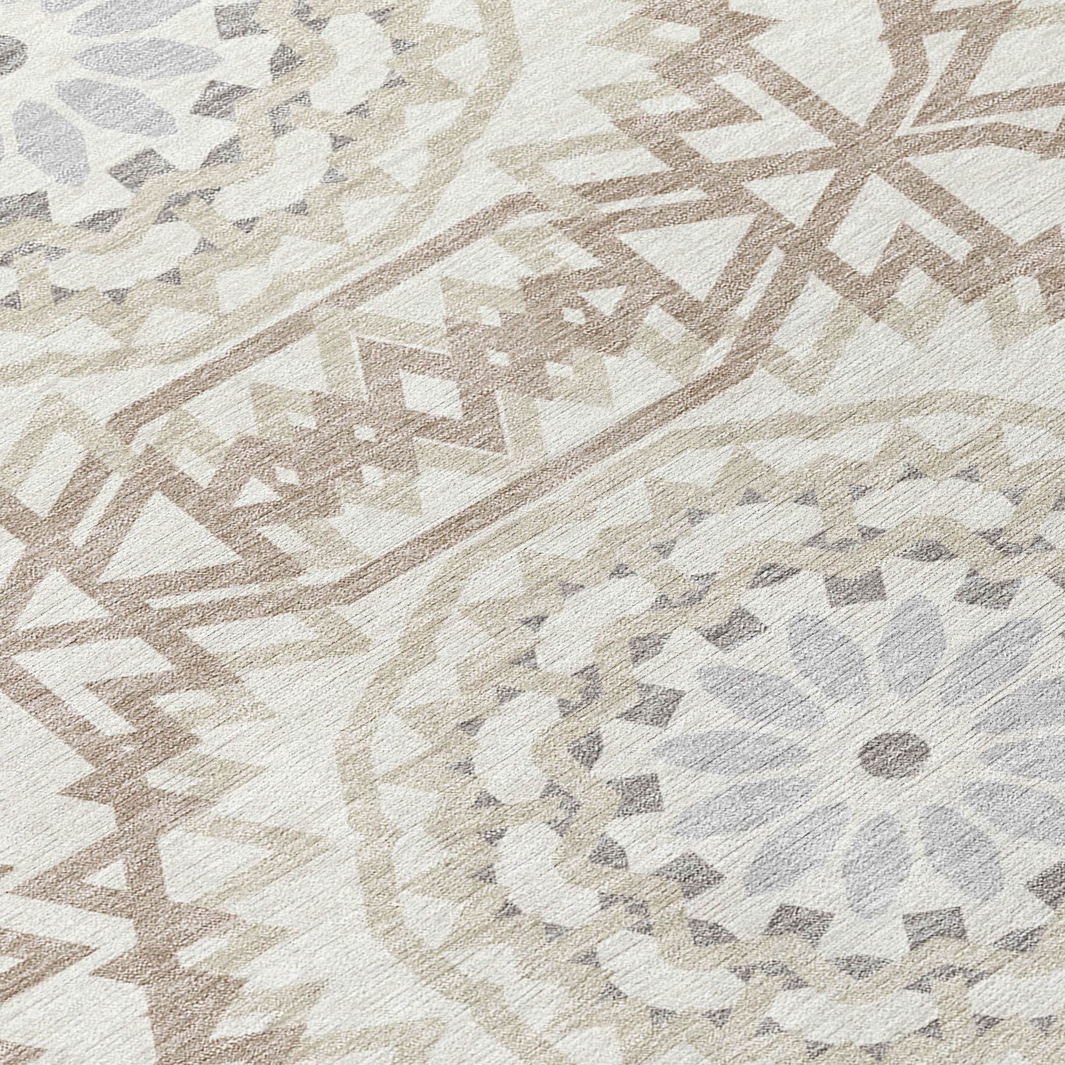 Addison Rugs ACN619IV30X46 rugs - View #3