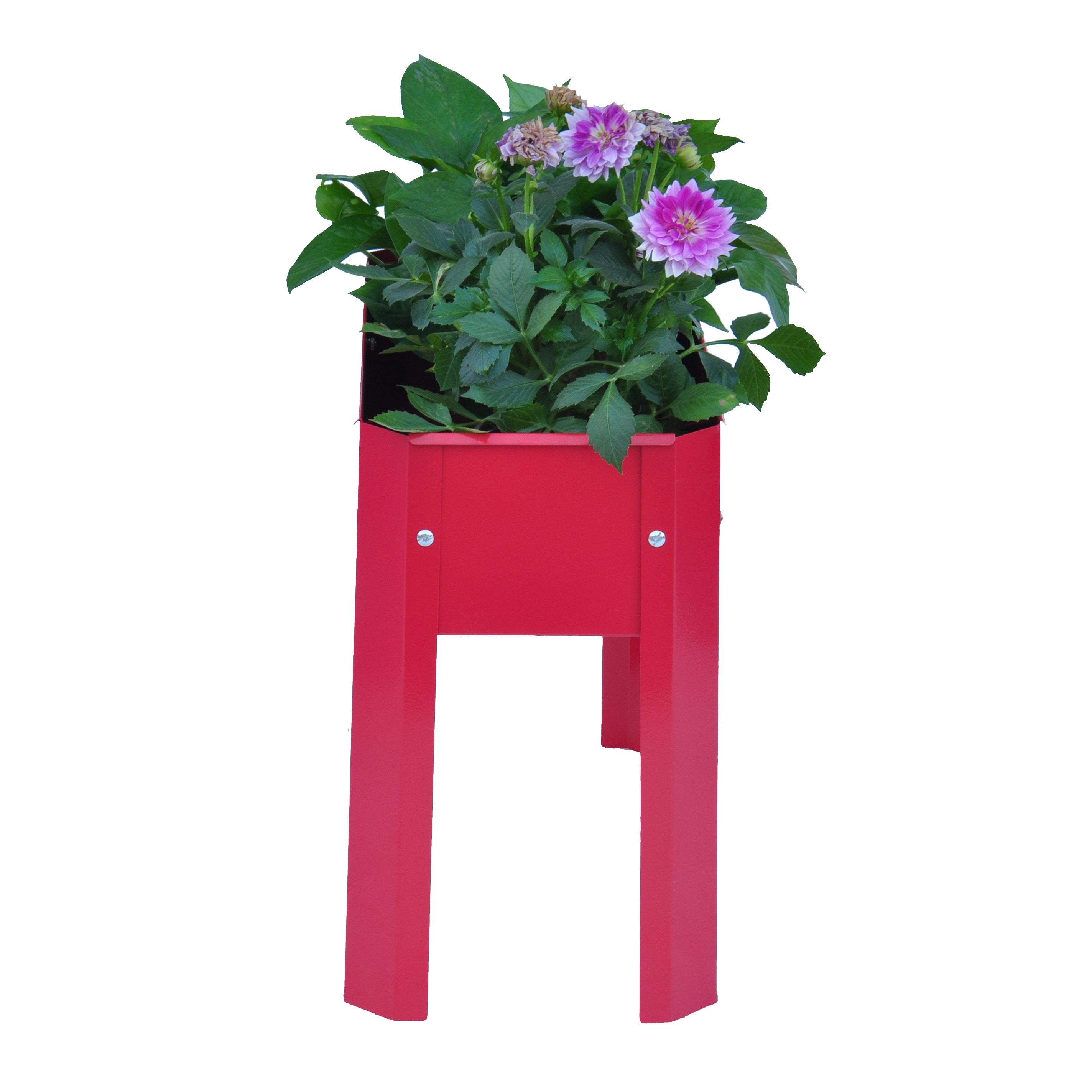 AHIOU HOME ZAAHG-81986GB Raised-Planter-Boxes - View #5