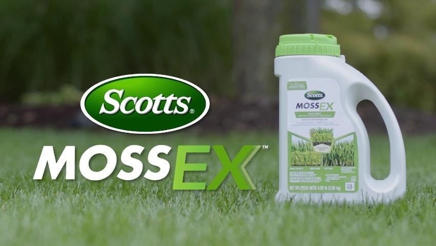 A thumbnail for the video