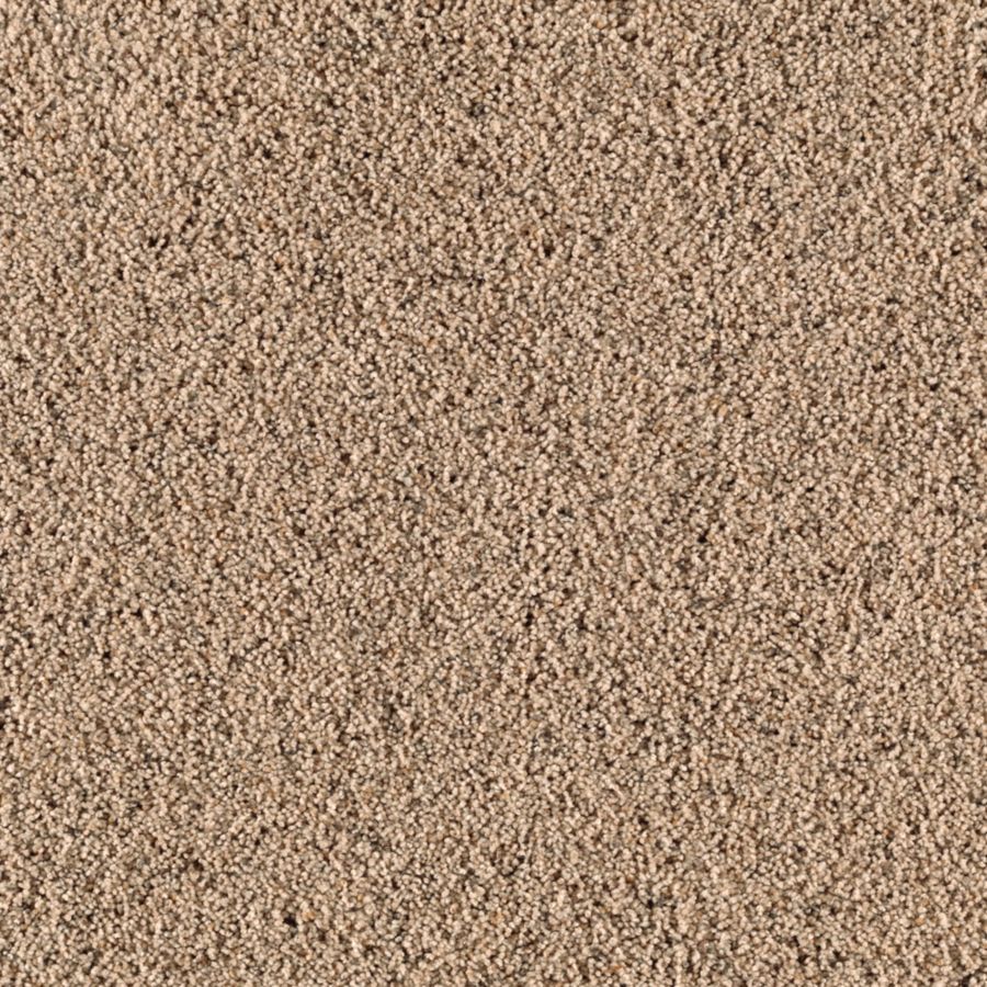STAINMASTER S622588WILD OAT-LE I (Sample) Essentials Renewed Style I Wild Oats Shag/Frieze Carpet