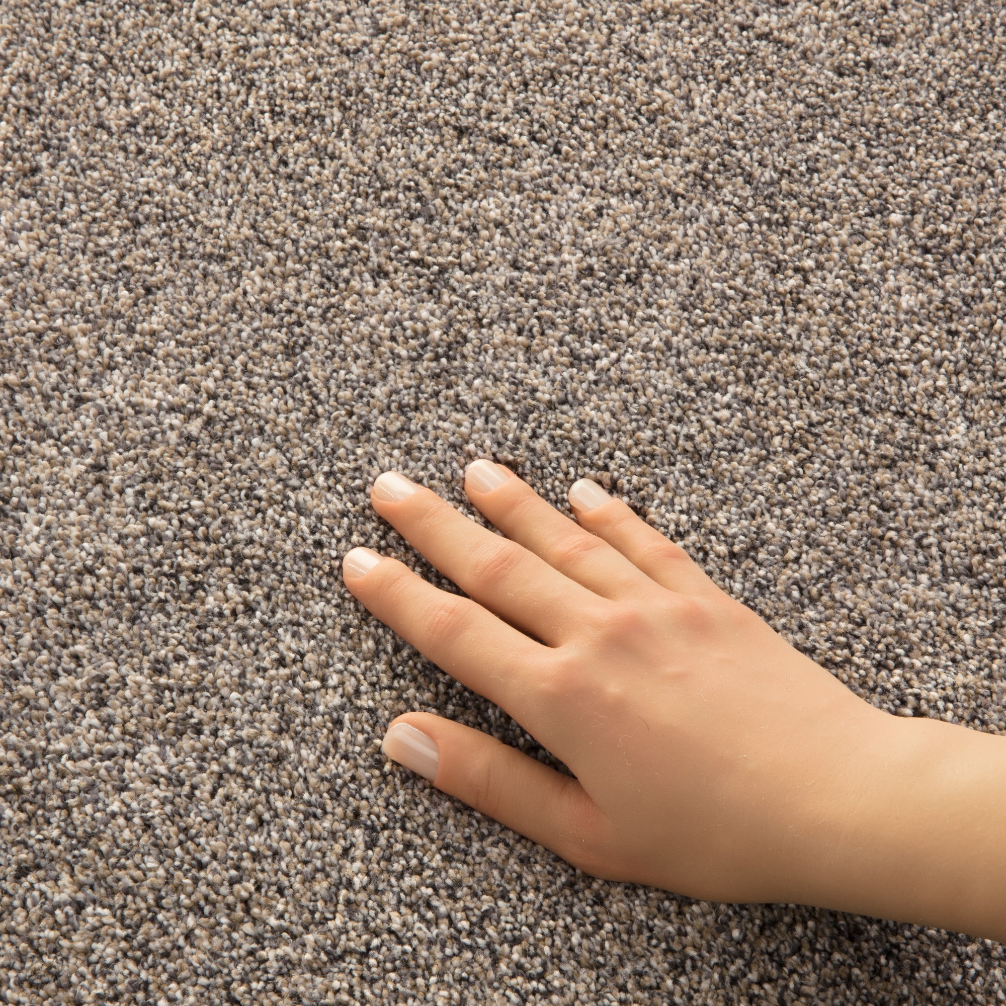 STAINMASTER PetProtect 7L93100533 Carpet-Panel - View #8