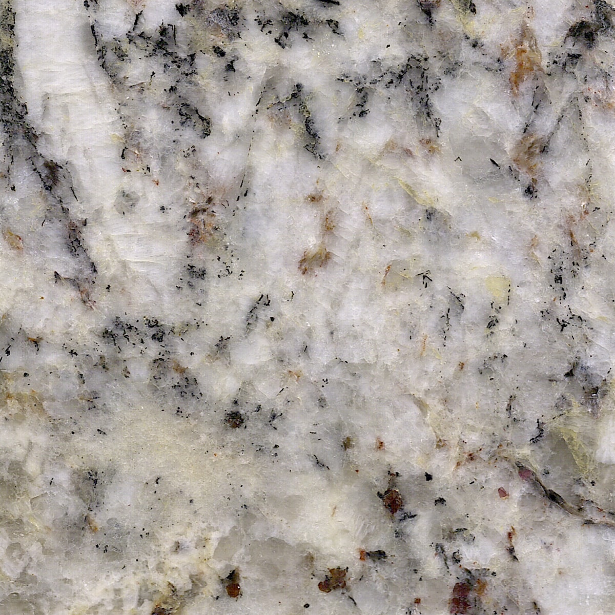Imperial Topaz Granite Off-white Kitchen Countertop SAMPLE (4-in x 4-in) | - allen + roth 350027-CS