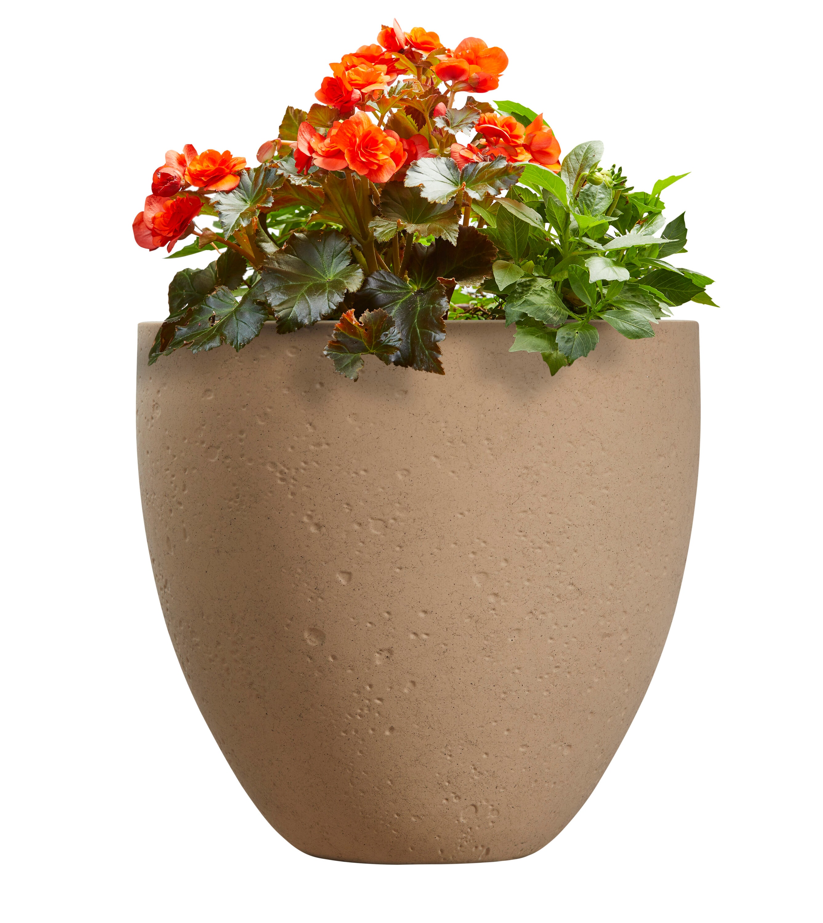 allen + roth UT897811 Planter-Window-Box - View #9