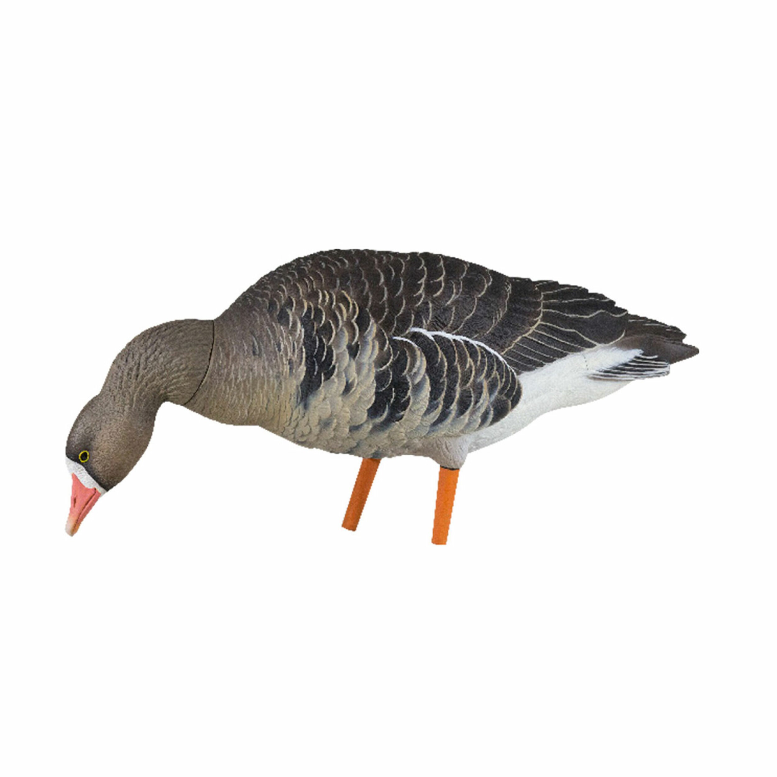  Avian X 408569 Hunting-Equipment - View #10