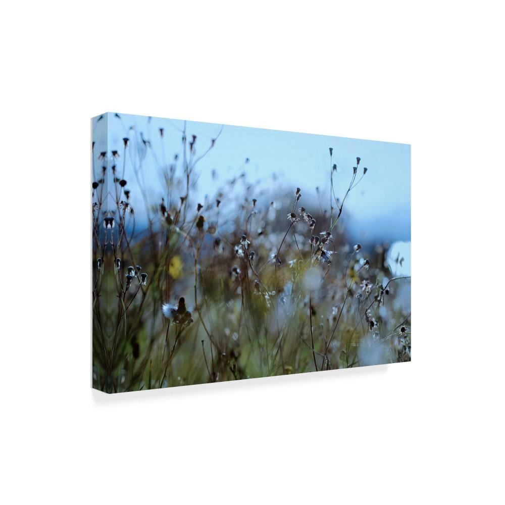 Trademark Fine Art BC00320-C2232GG Wall-Art - View #2