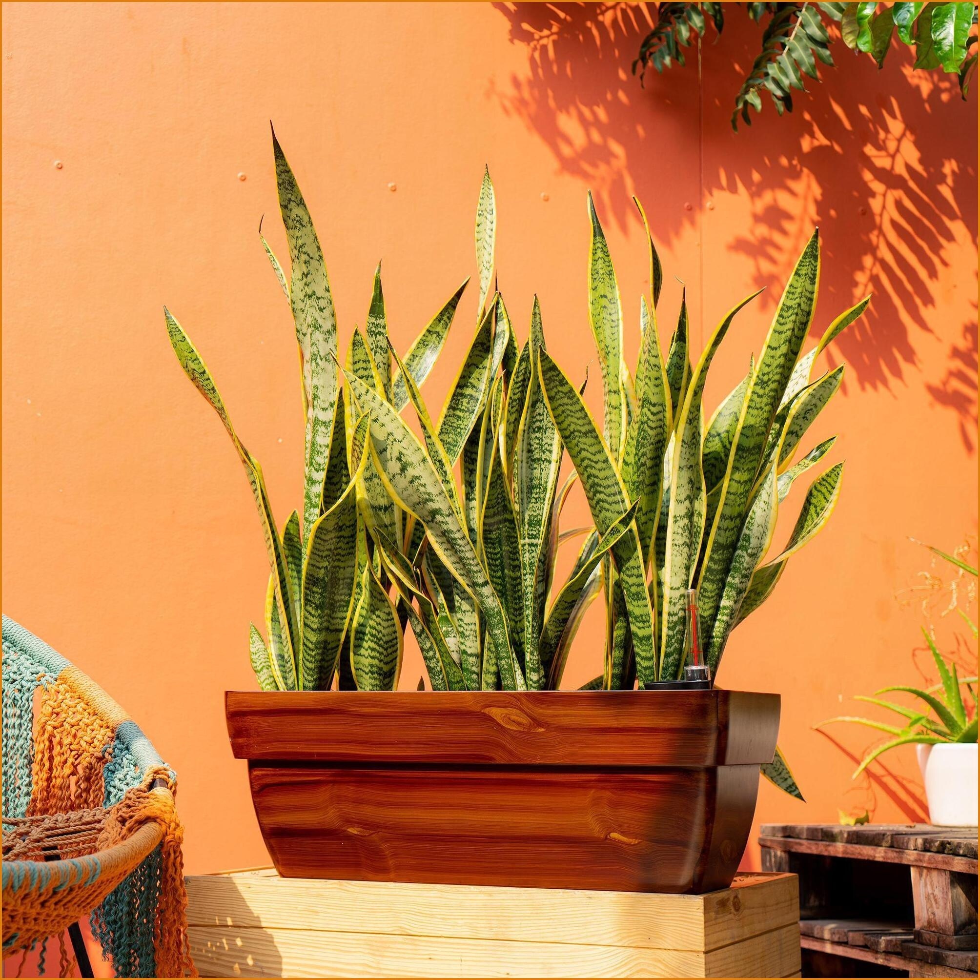 Watnature XHZIVNO81WC7 Planter-Window-Box - View #5