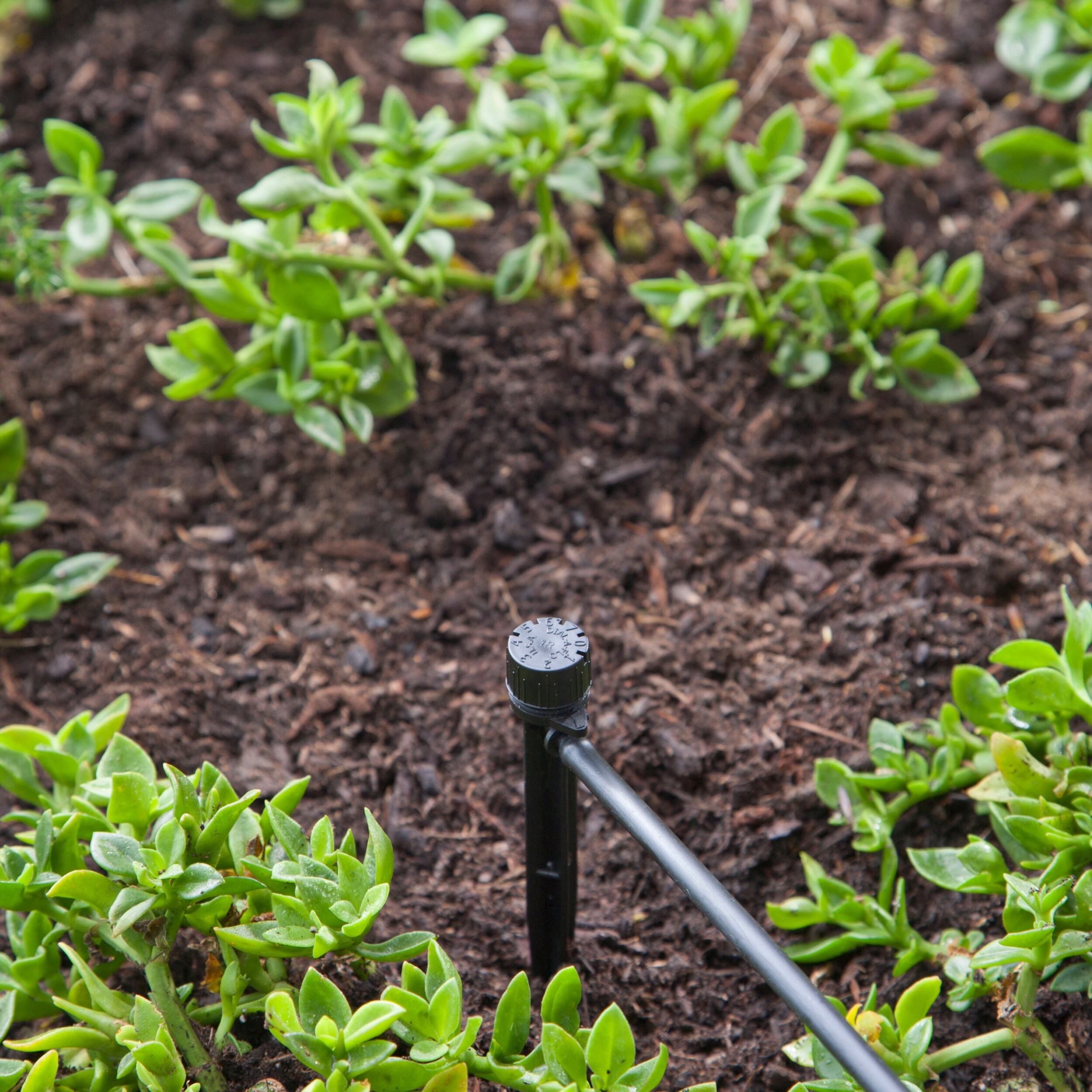 Raindrip LA156CPUB Drip-Irrigation-Water-Emitters - View #2