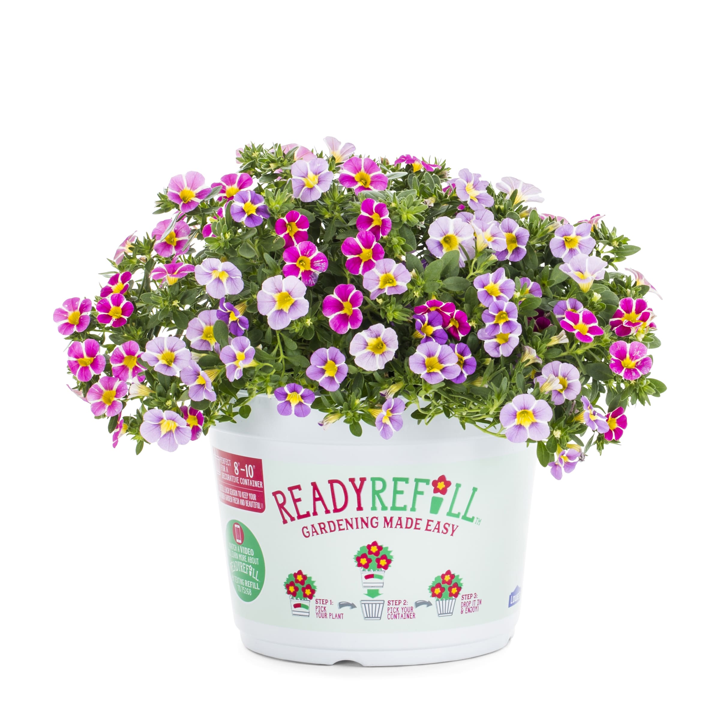 Ready Refill NURSERY Multicolor Mixed Annuals Combinations in 3-Quart Pot