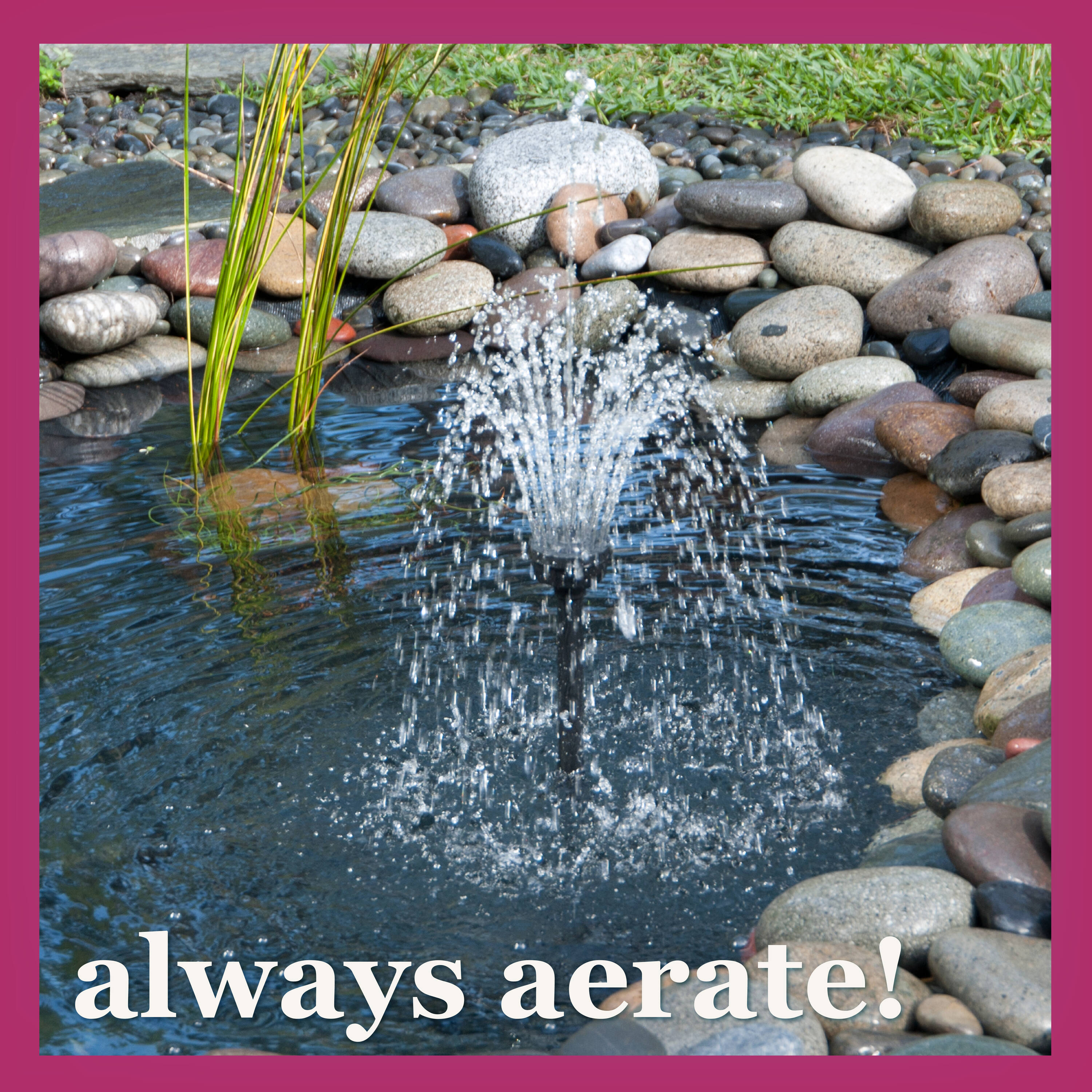 smartpond 96892 Pond-Cleaners - View #8