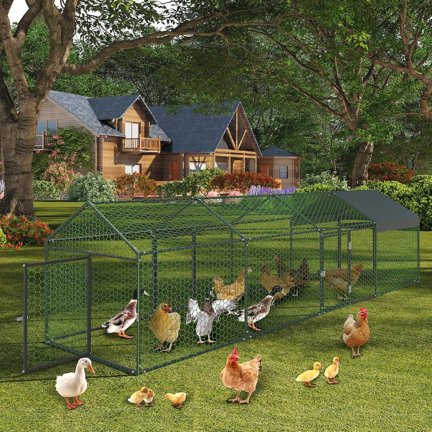 Qeetex GGL-PPG-33EVUAC4 Chicken-Coops-Rabbit-Hutches - View #5
