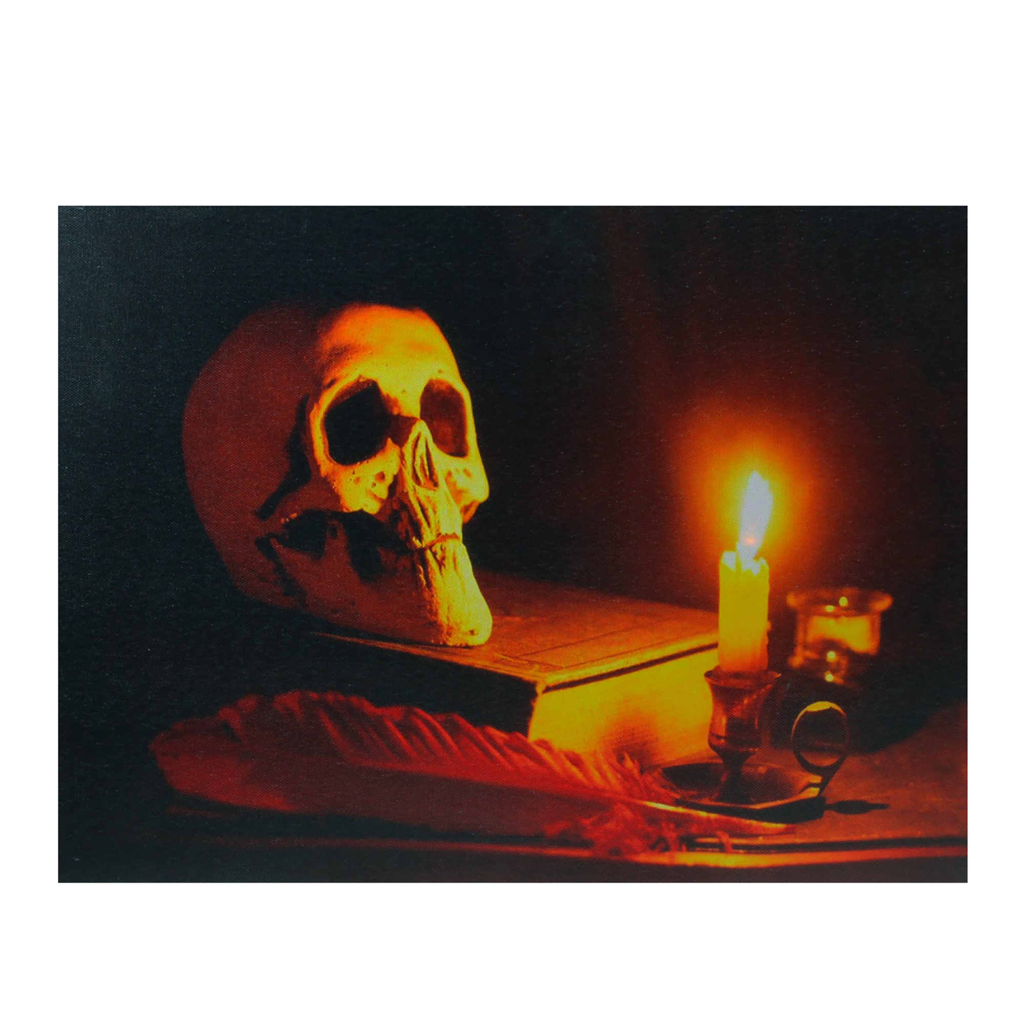 Northlight 32275399 12-in Hanging Lighted Skull Wall art